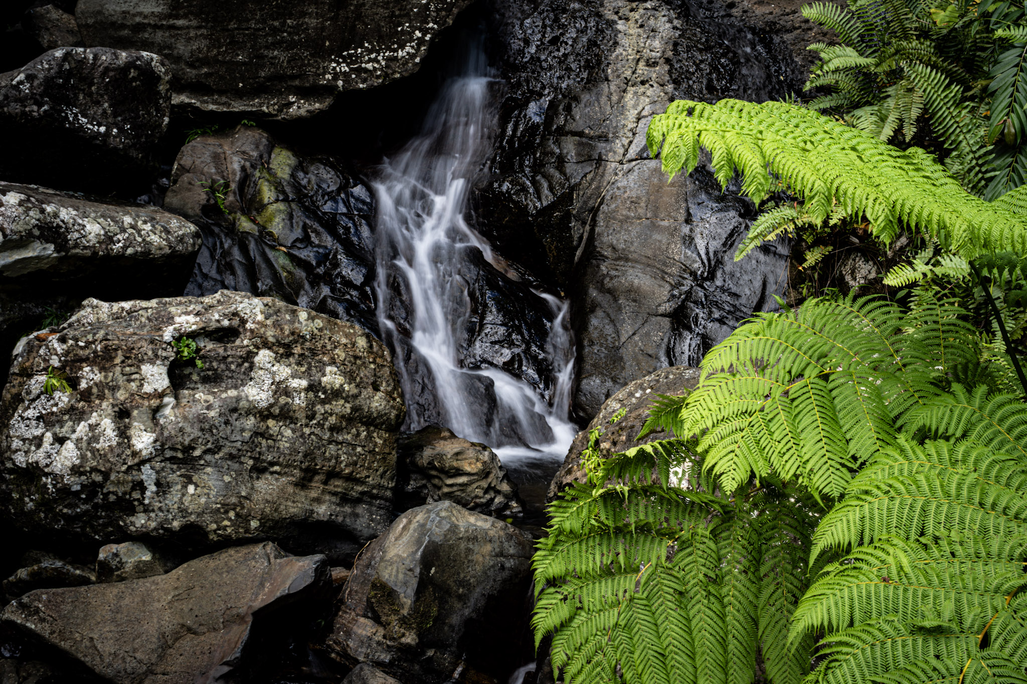 Yunque - foto 21