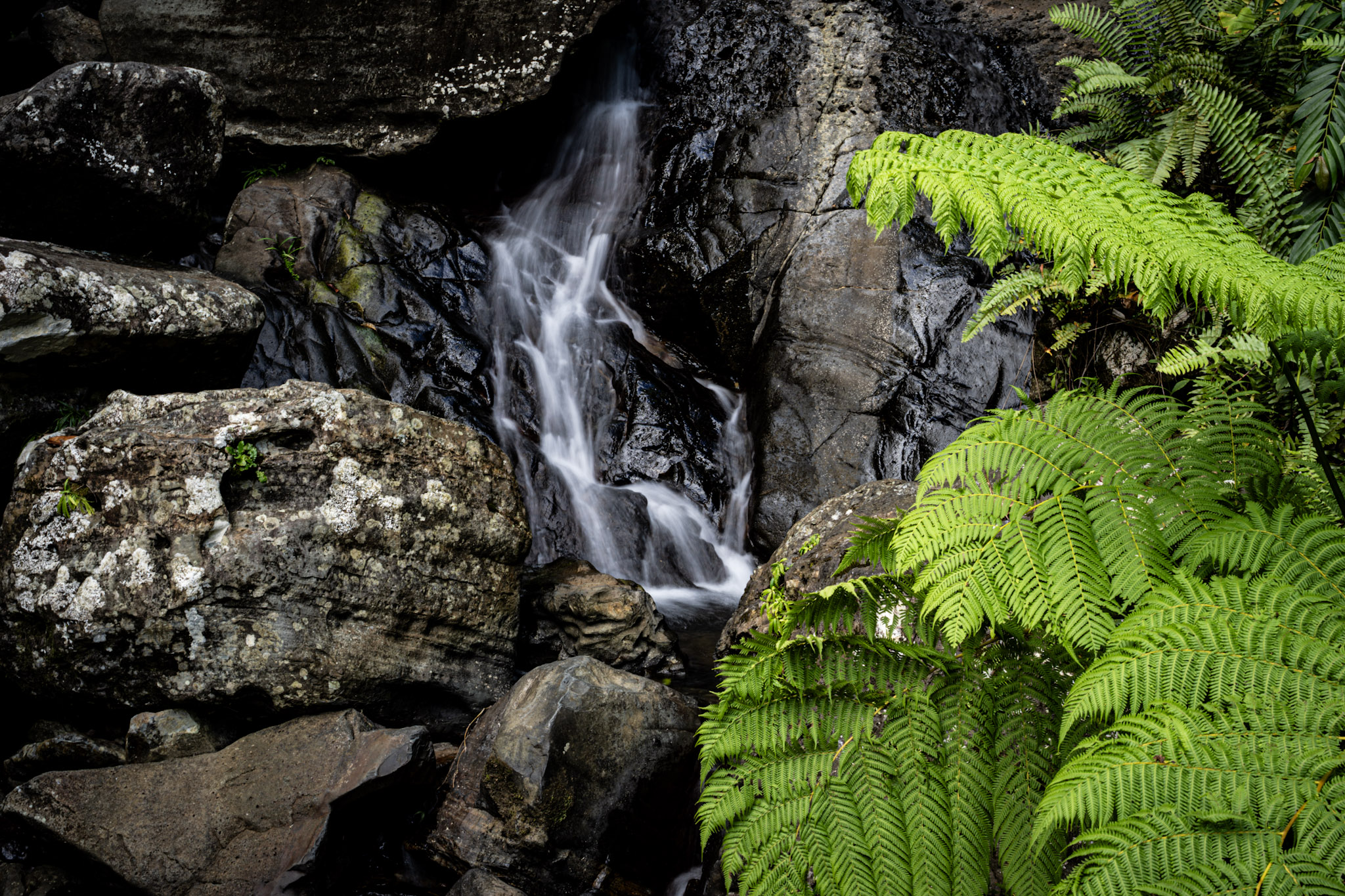Yunque - foto 22