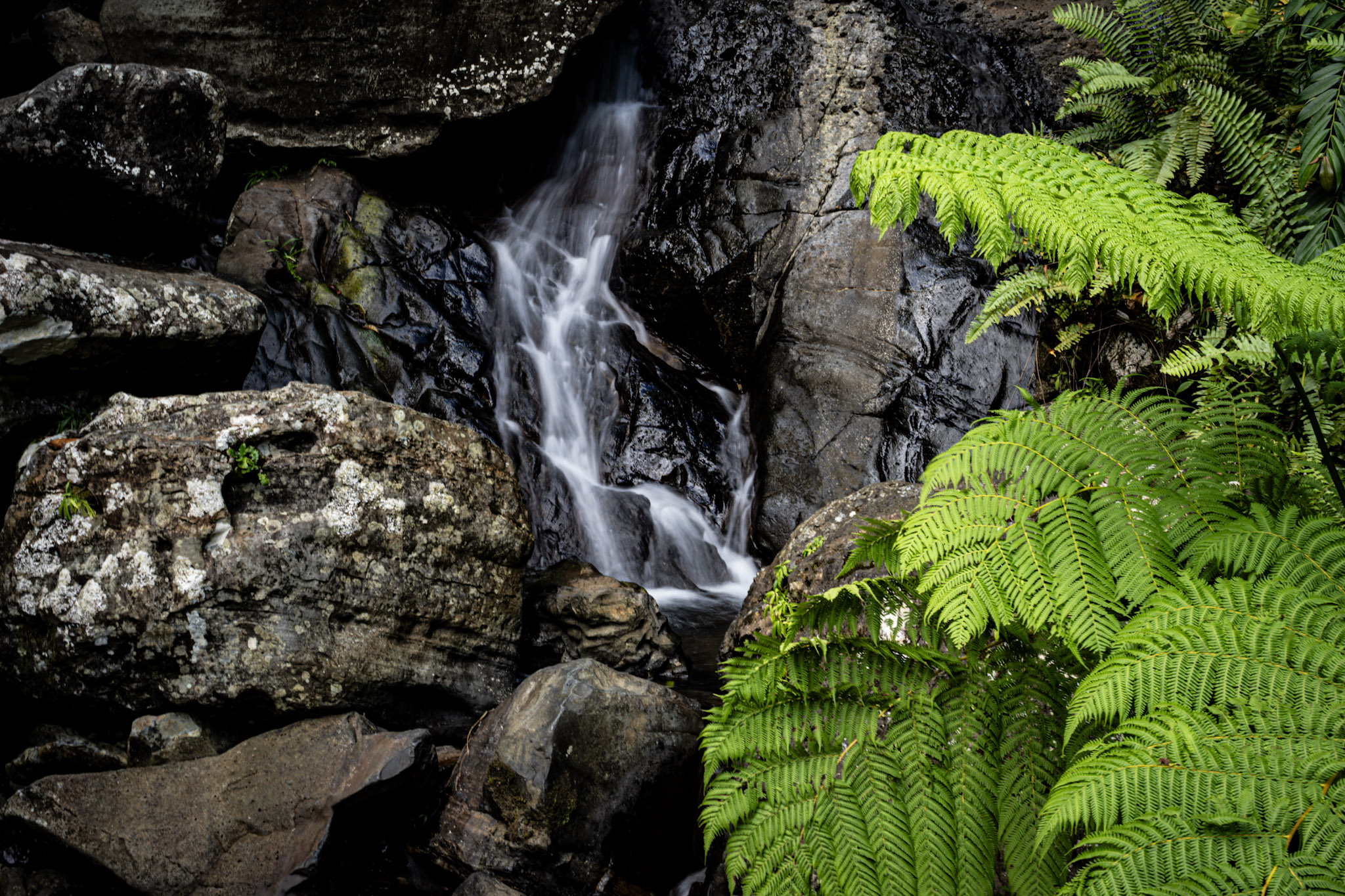 Yunque - foto 24