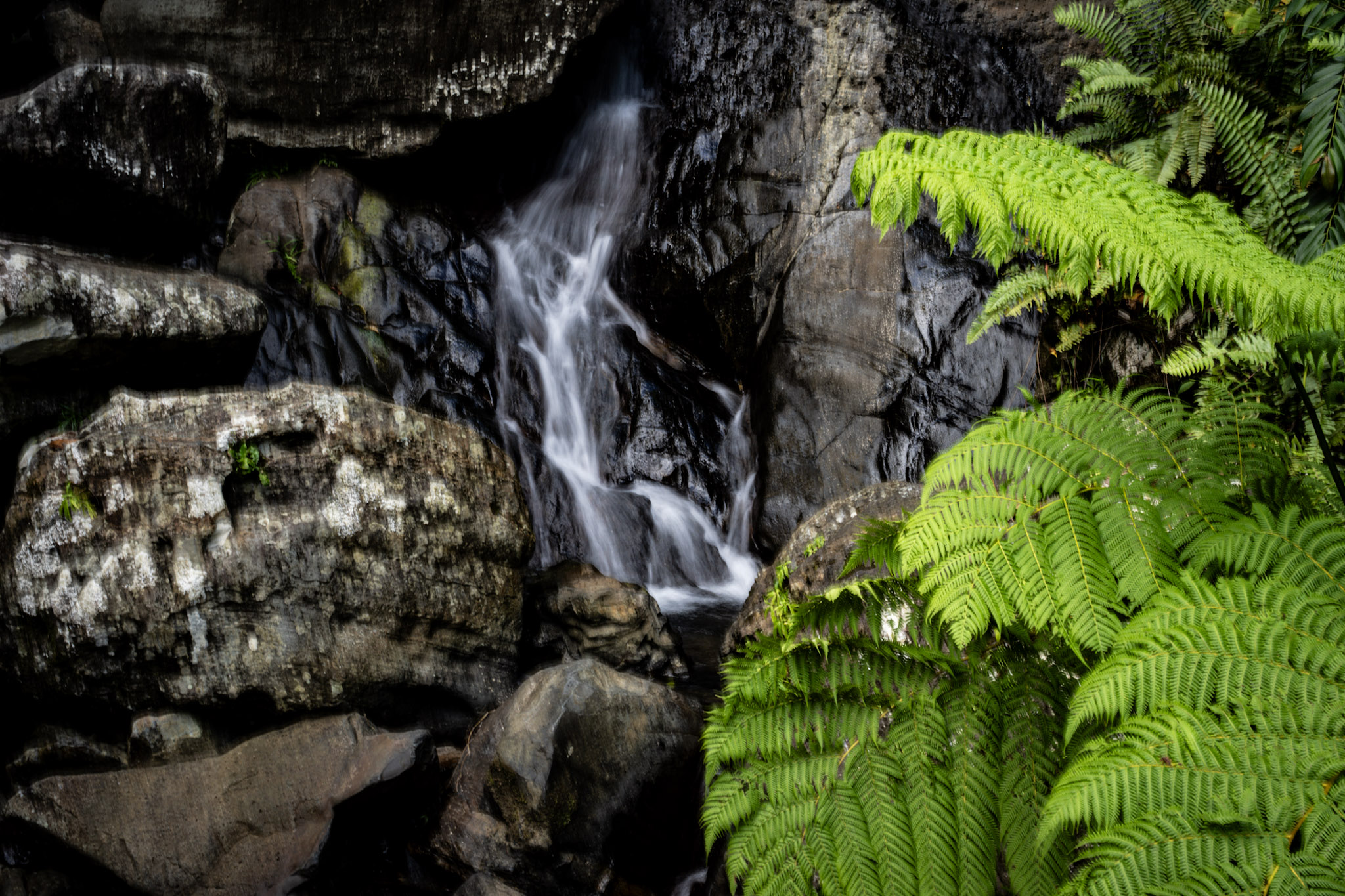 Yunque - foto 25