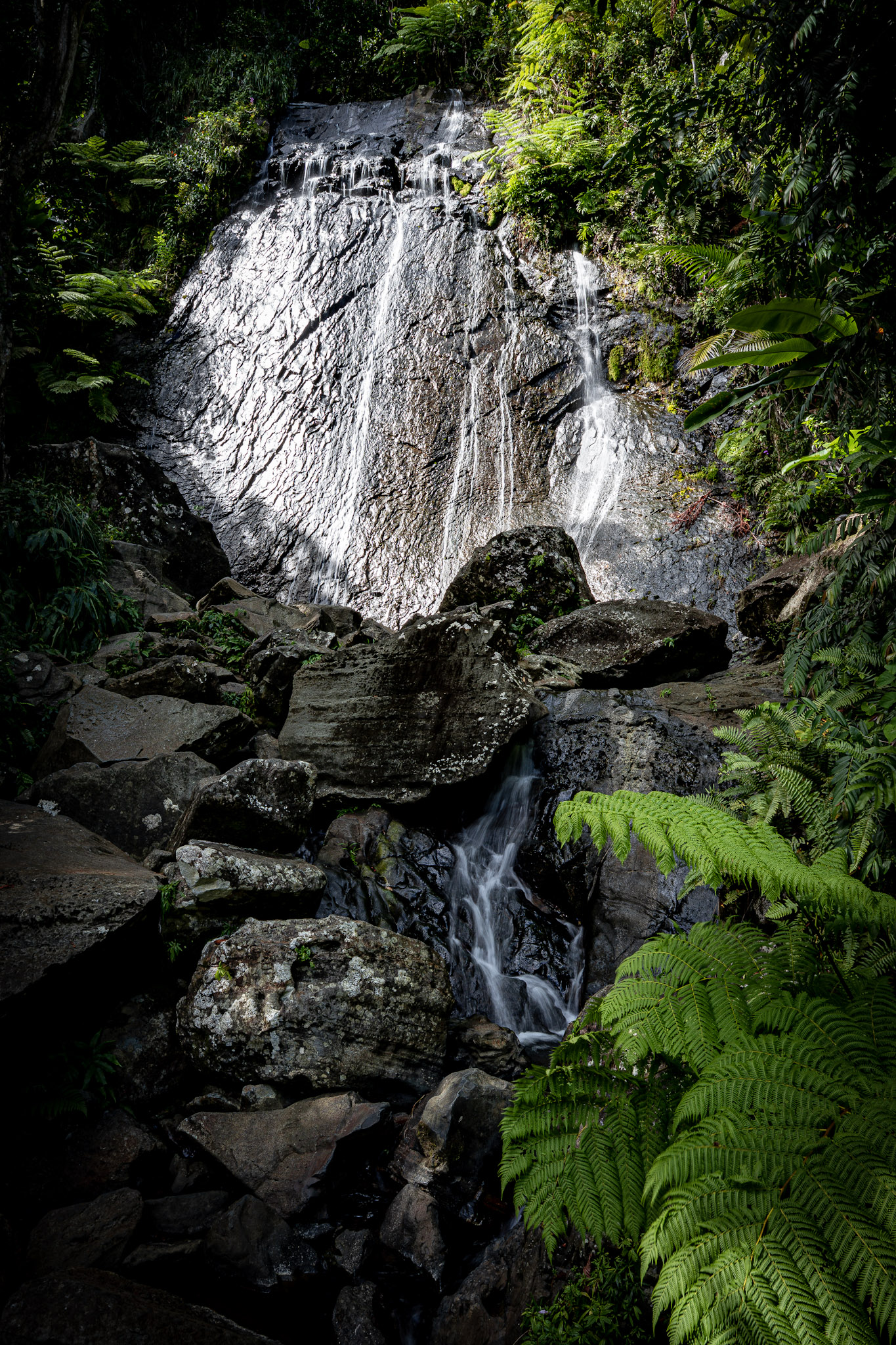 Yunque - foto 27