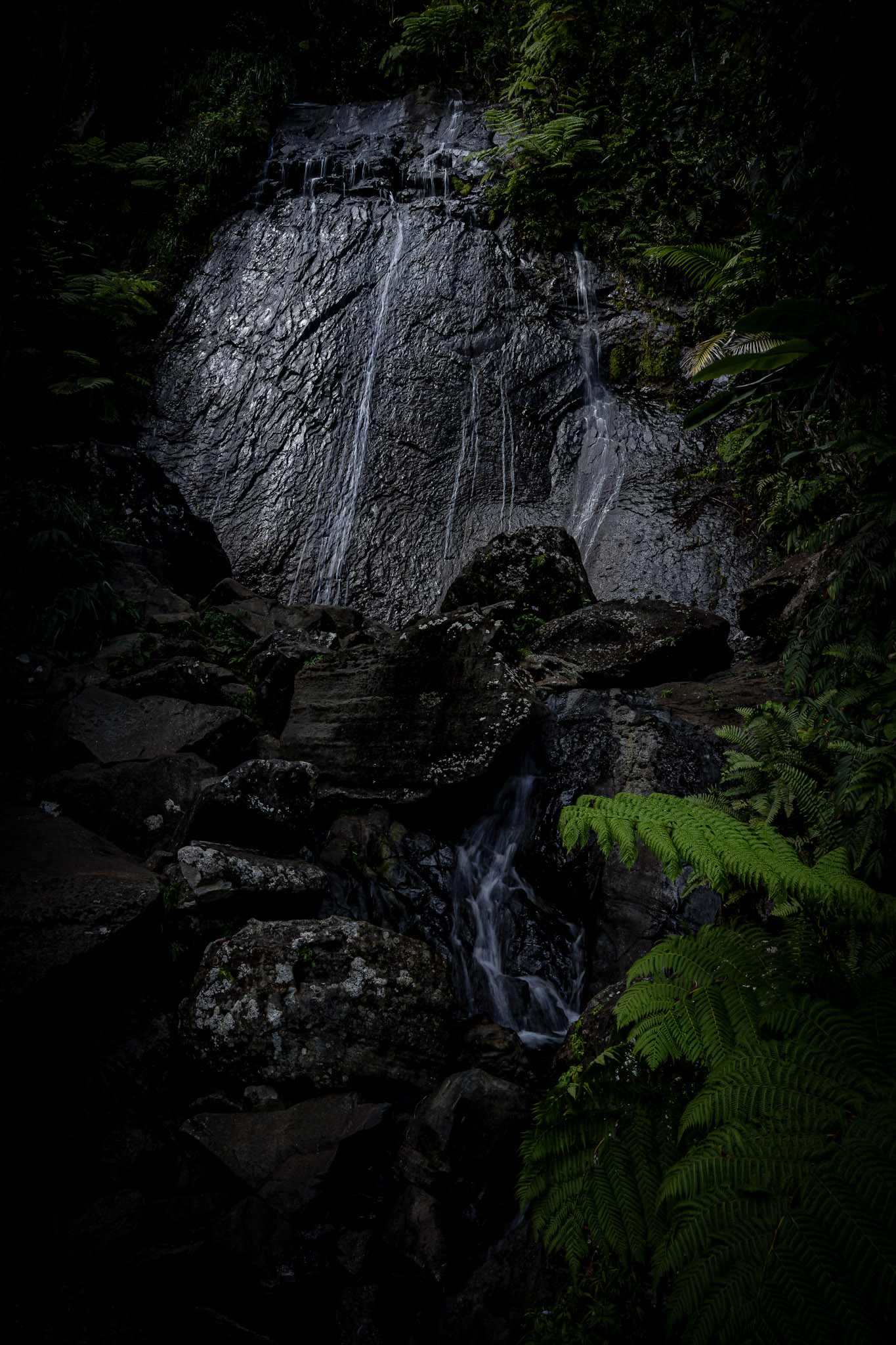 Yunque - foto 31