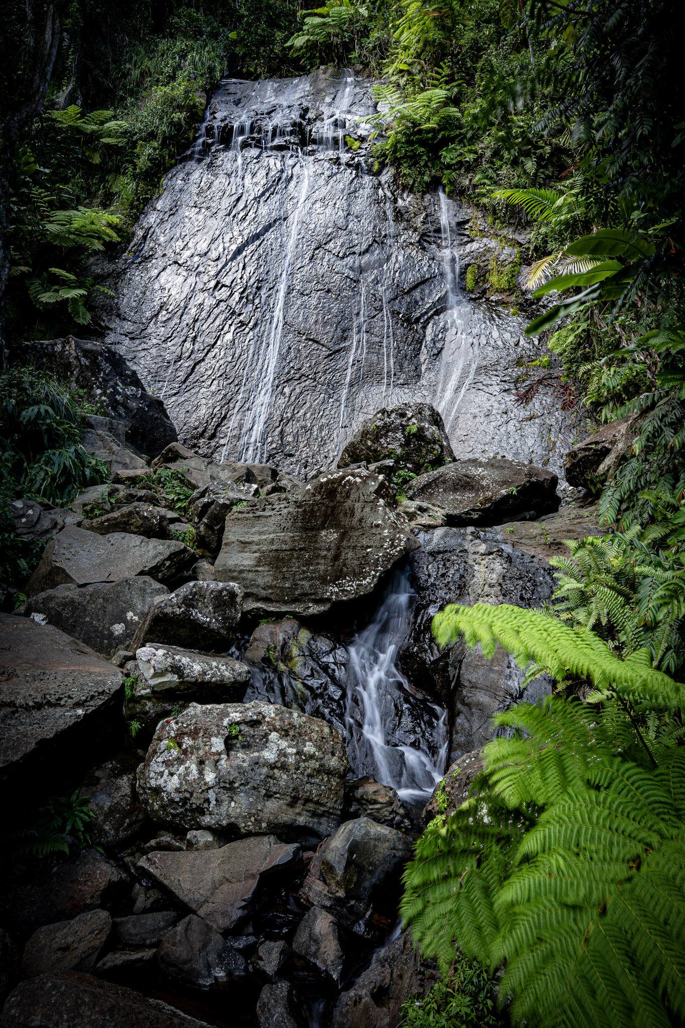Yunque - foto 33