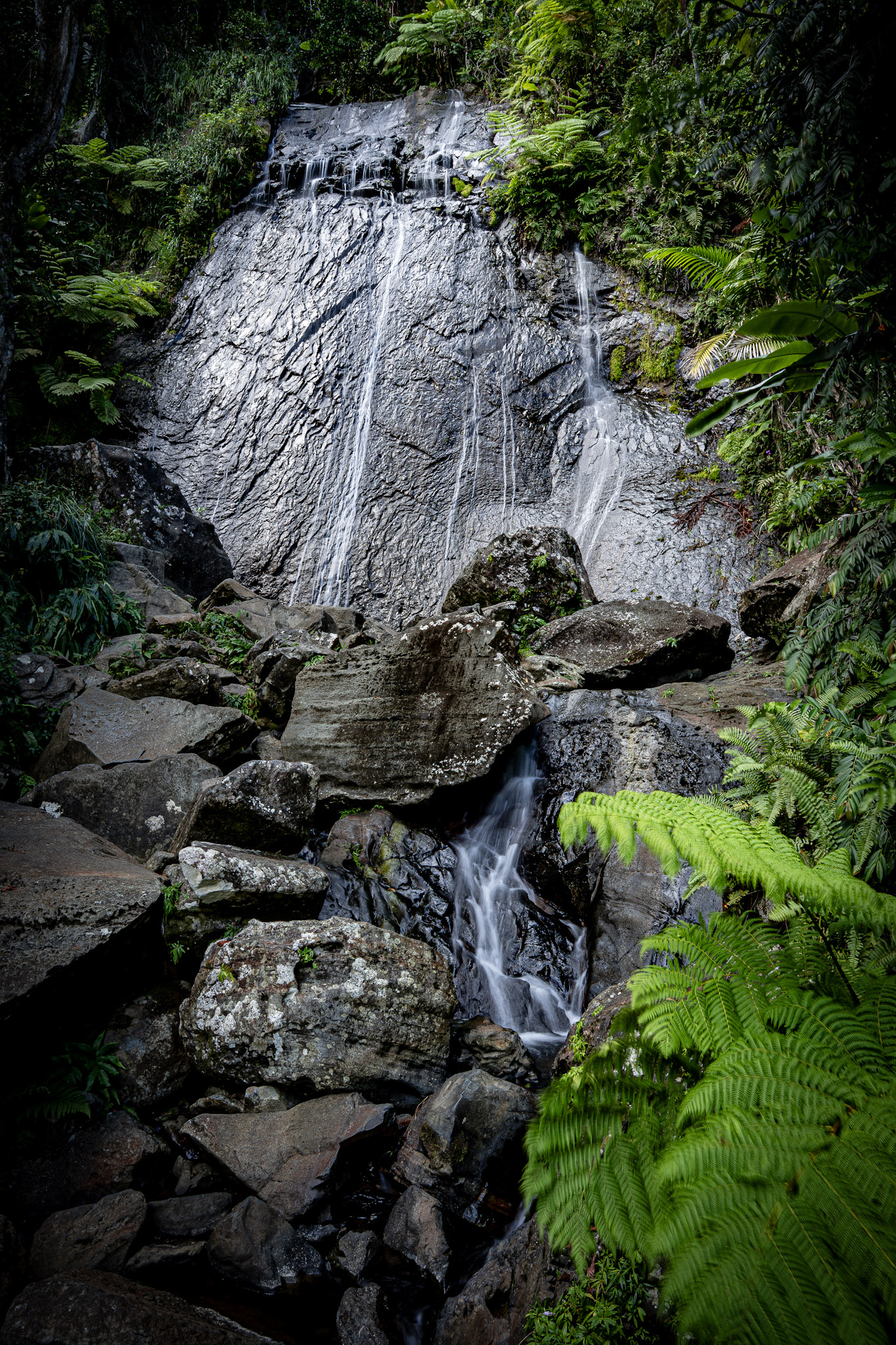 Yunque - foto 34