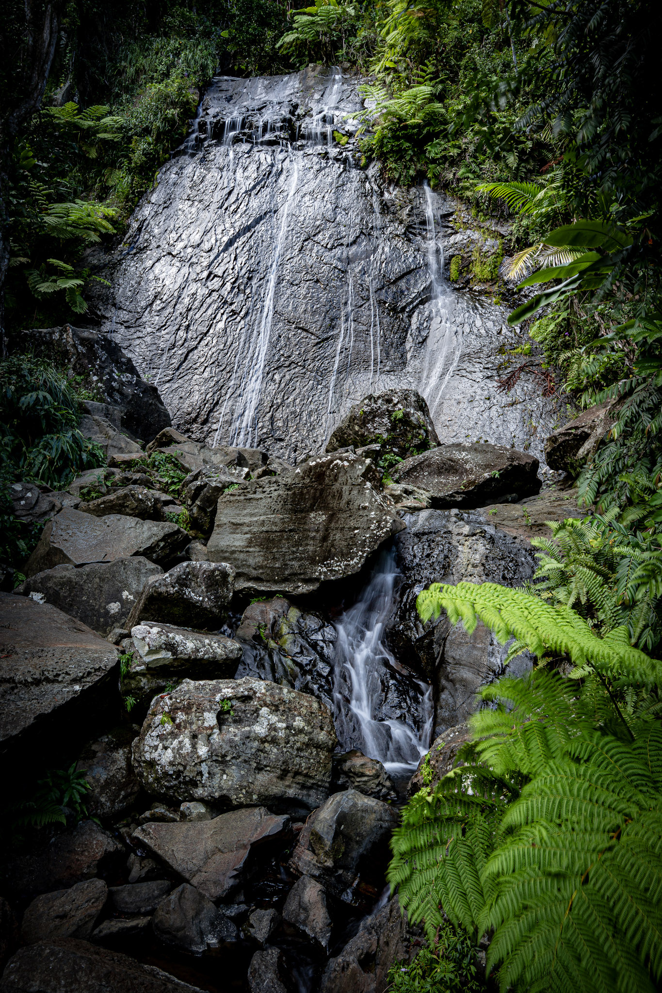 Yunque - foto 35
