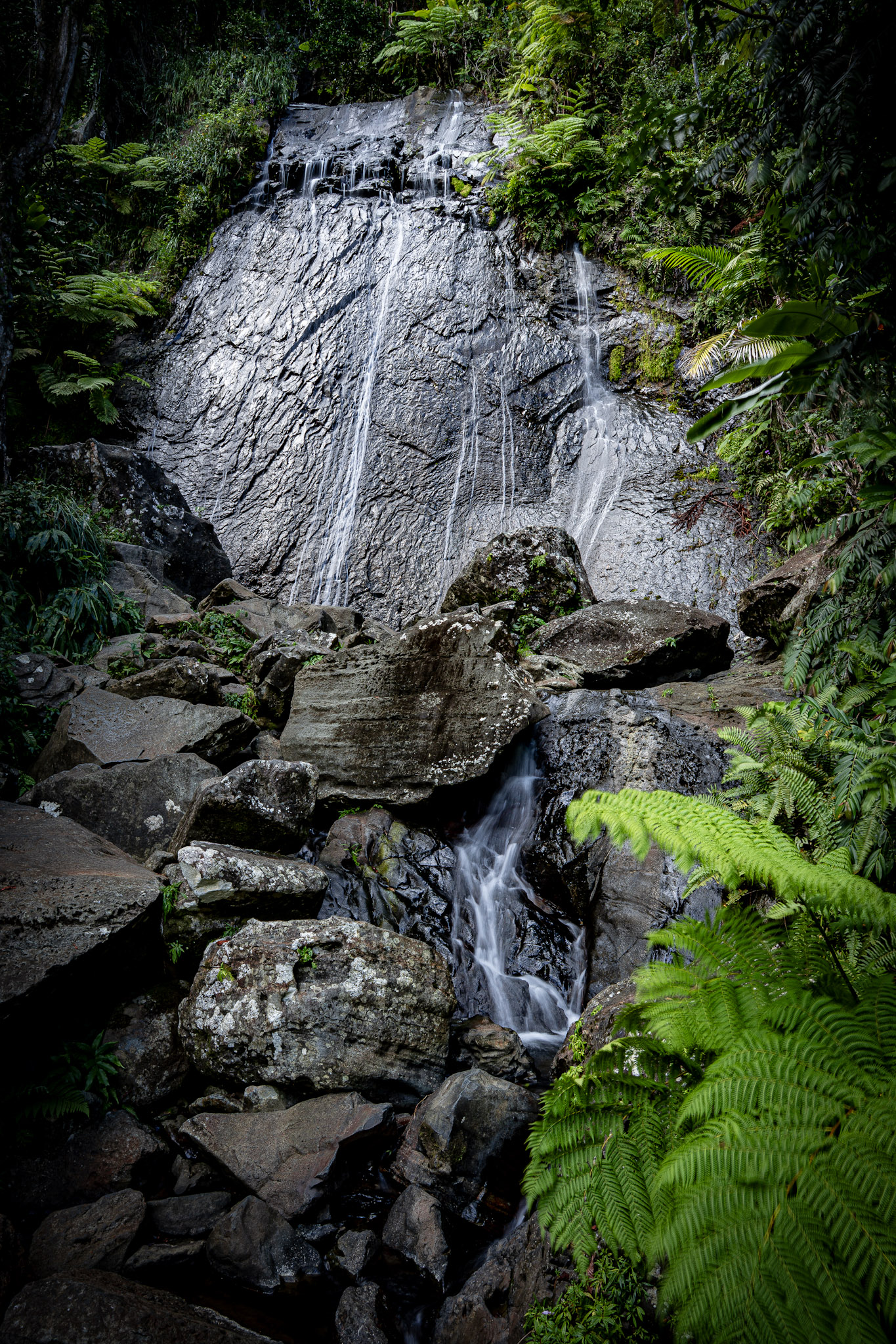 Yunque - foto 36