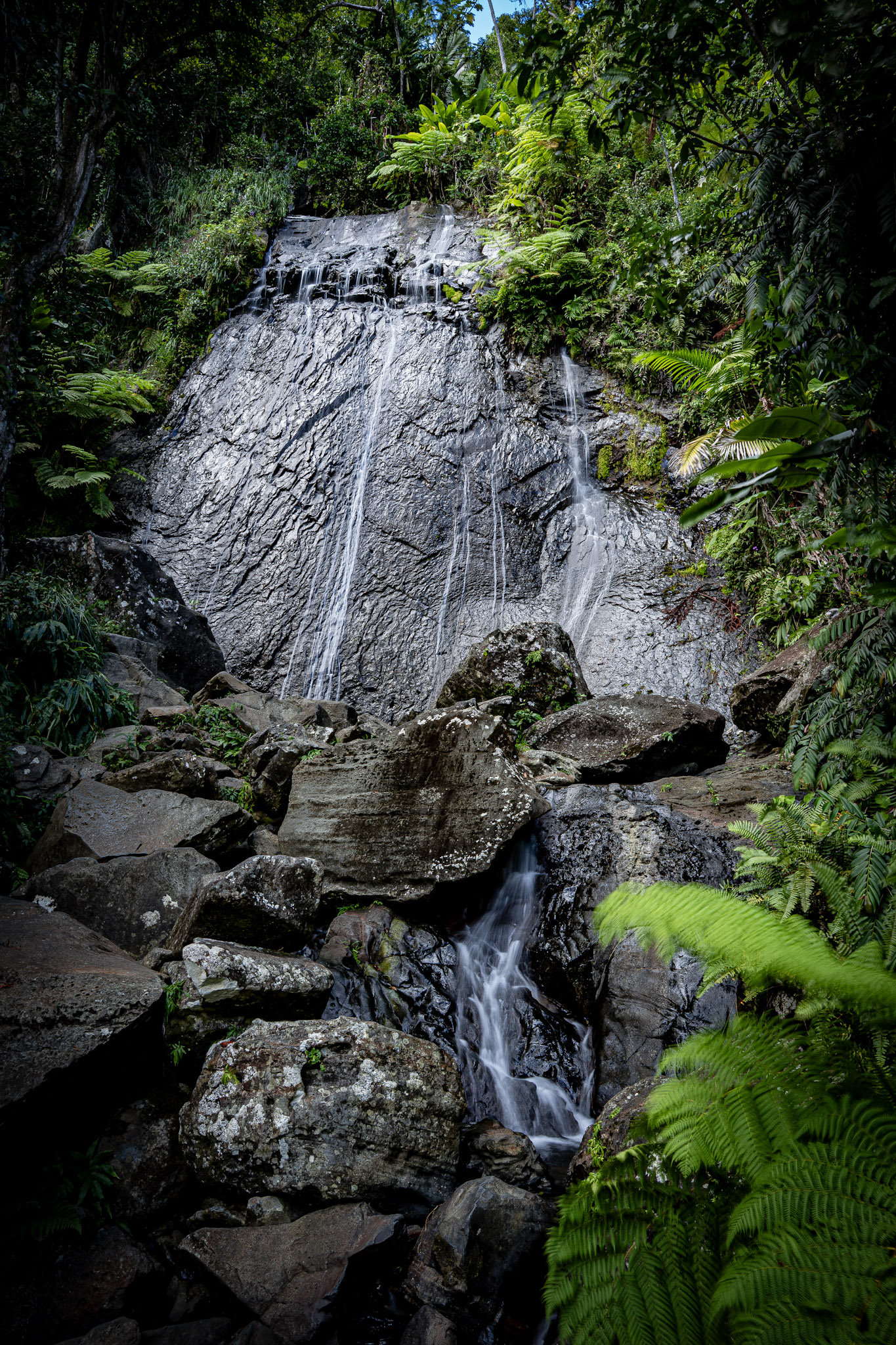 Yunque - foto 37
