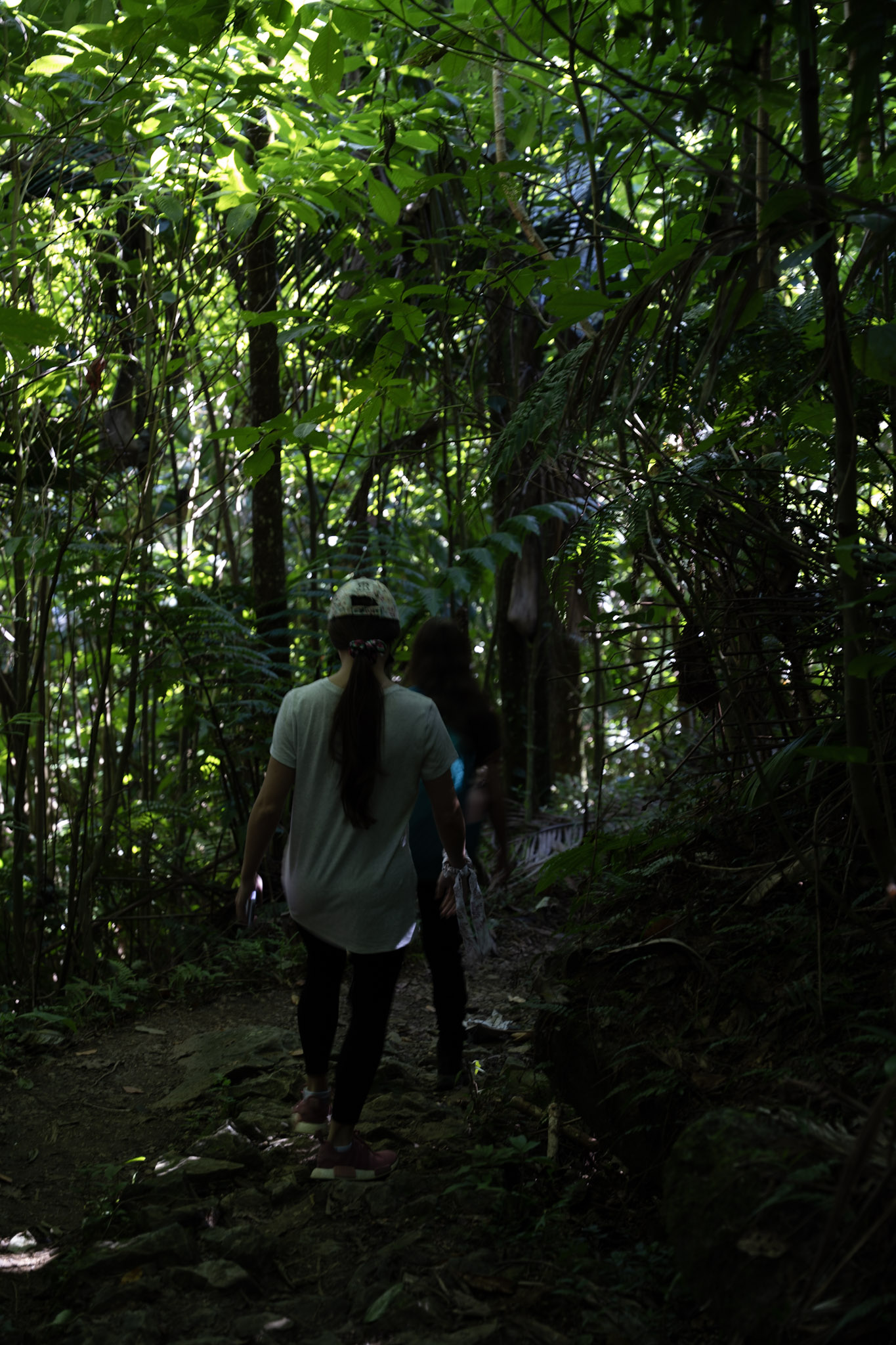Yunque - foto 45