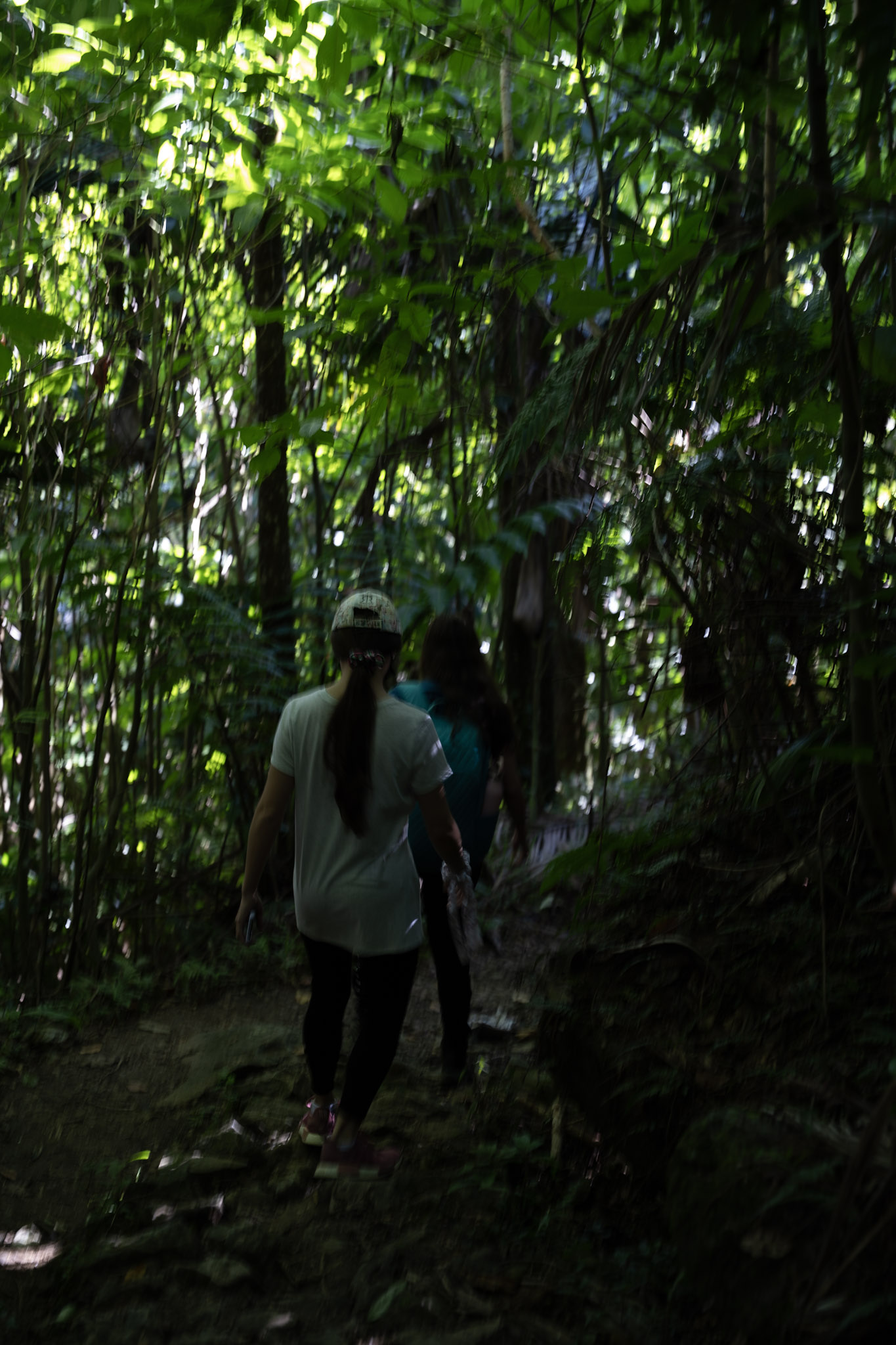 Yunque - foto 46