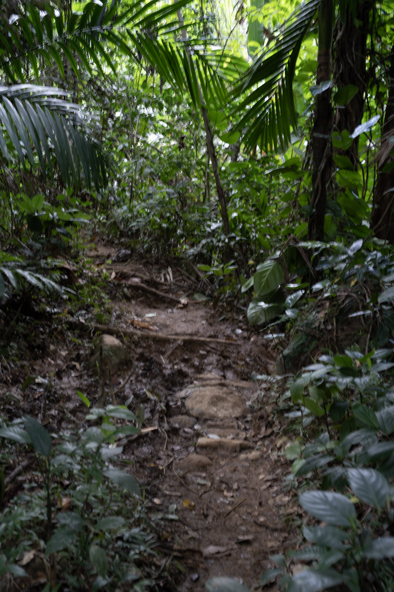 Yunque - foto 109