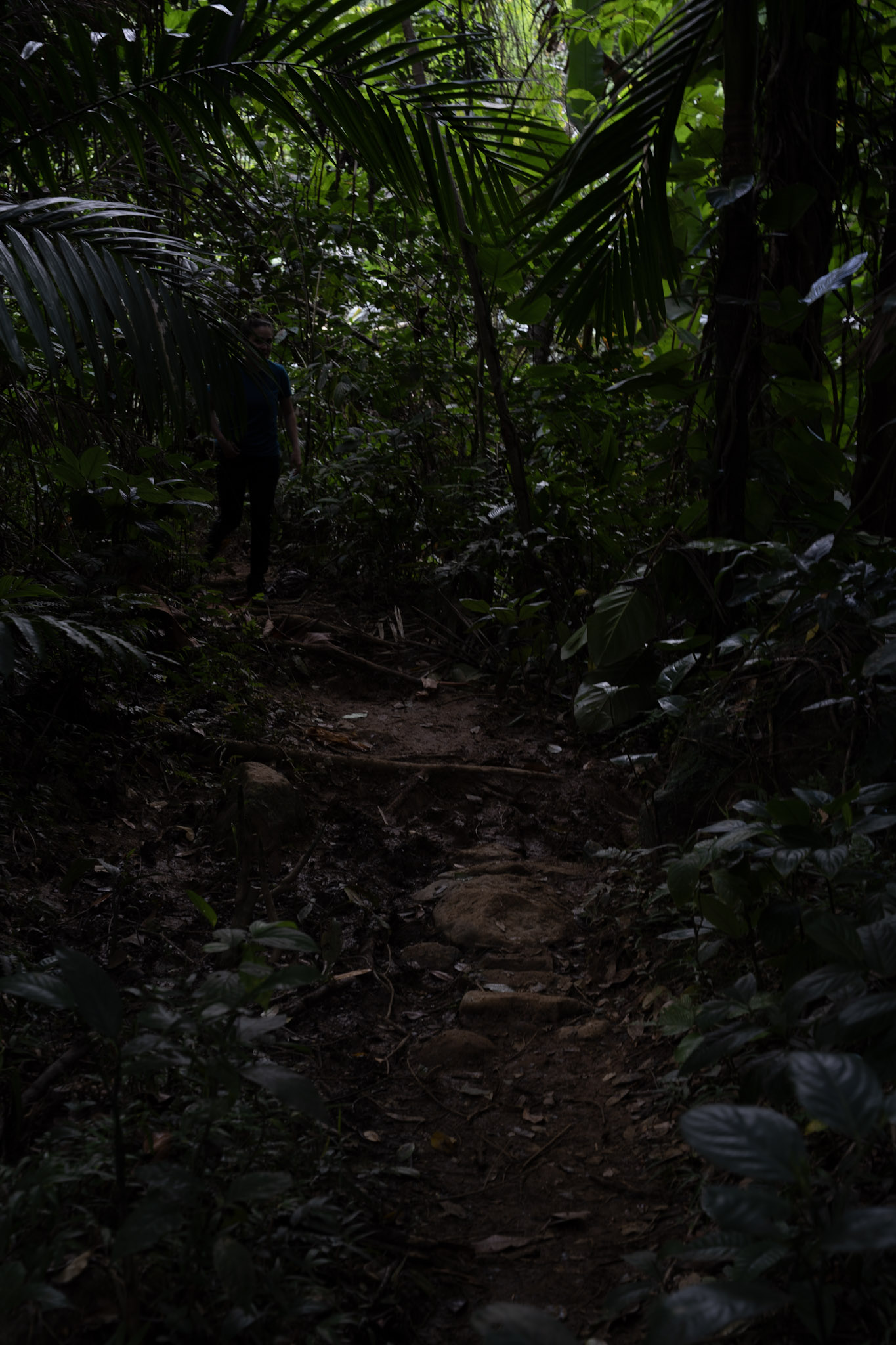 Yunque - foto 110