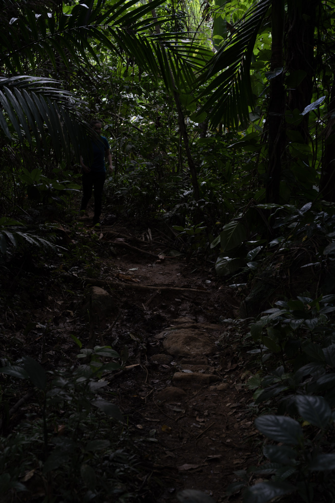 Yunque - foto 111