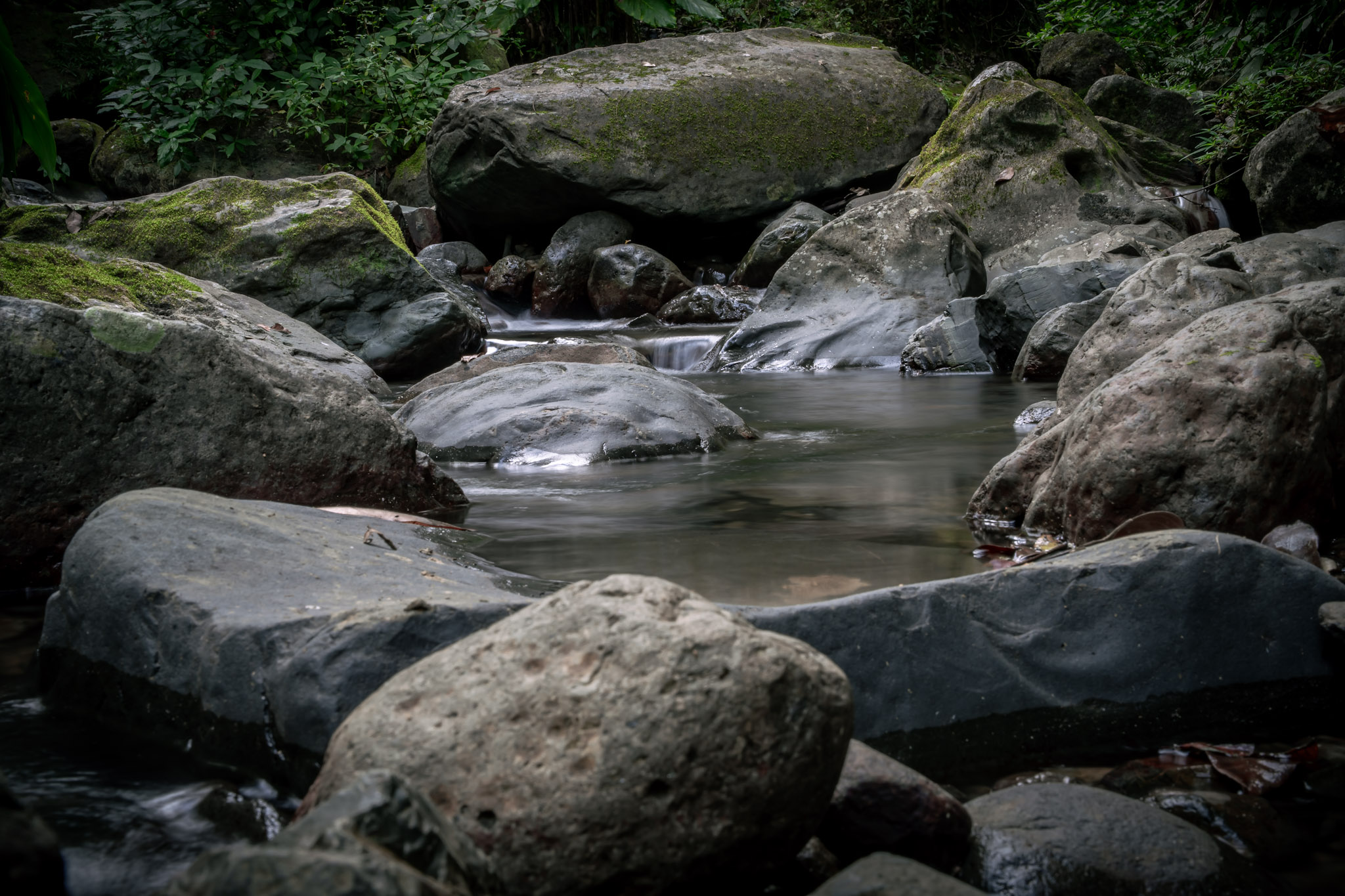 Yunque - foto 112