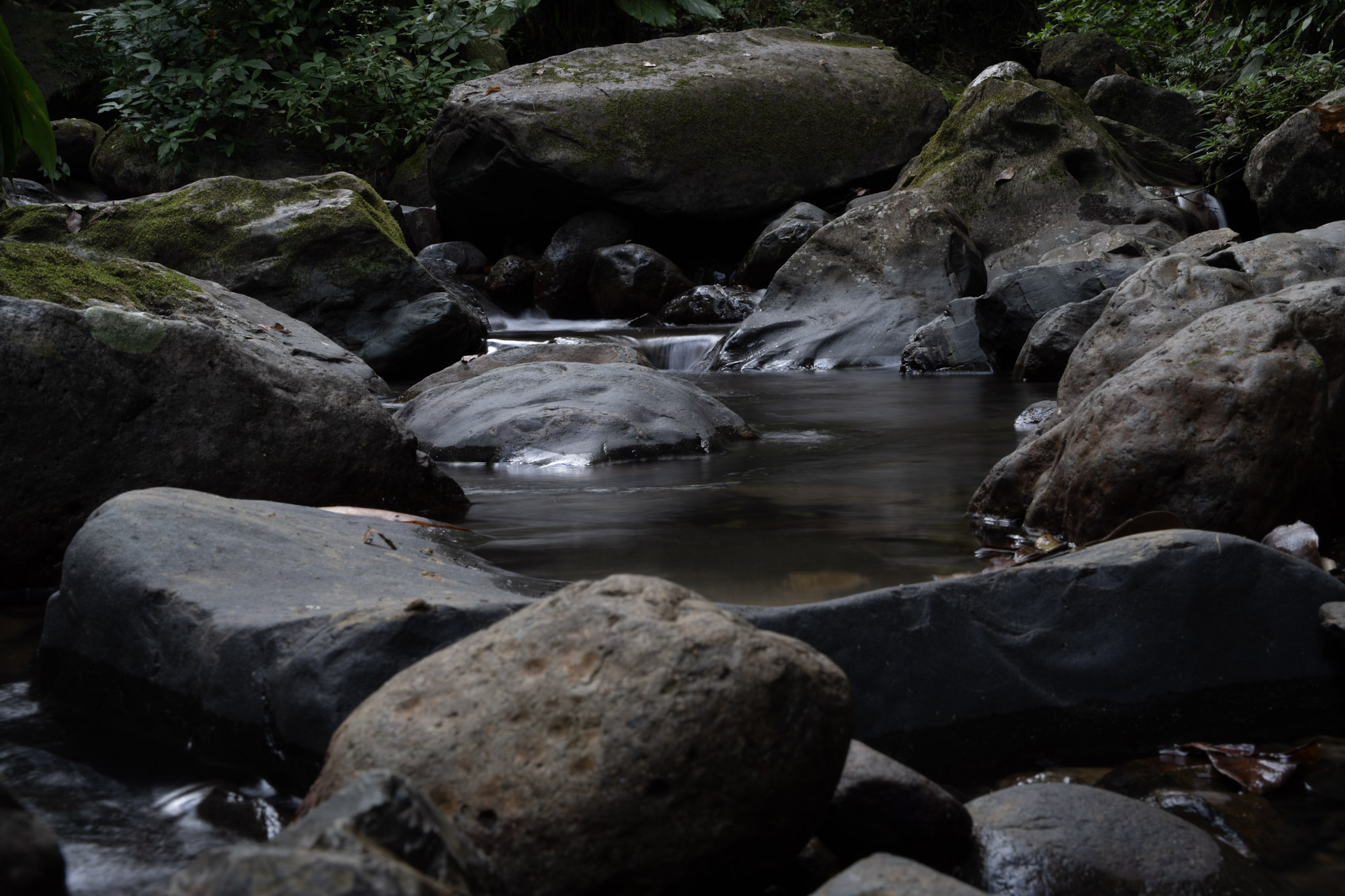 Yunque - foto 113