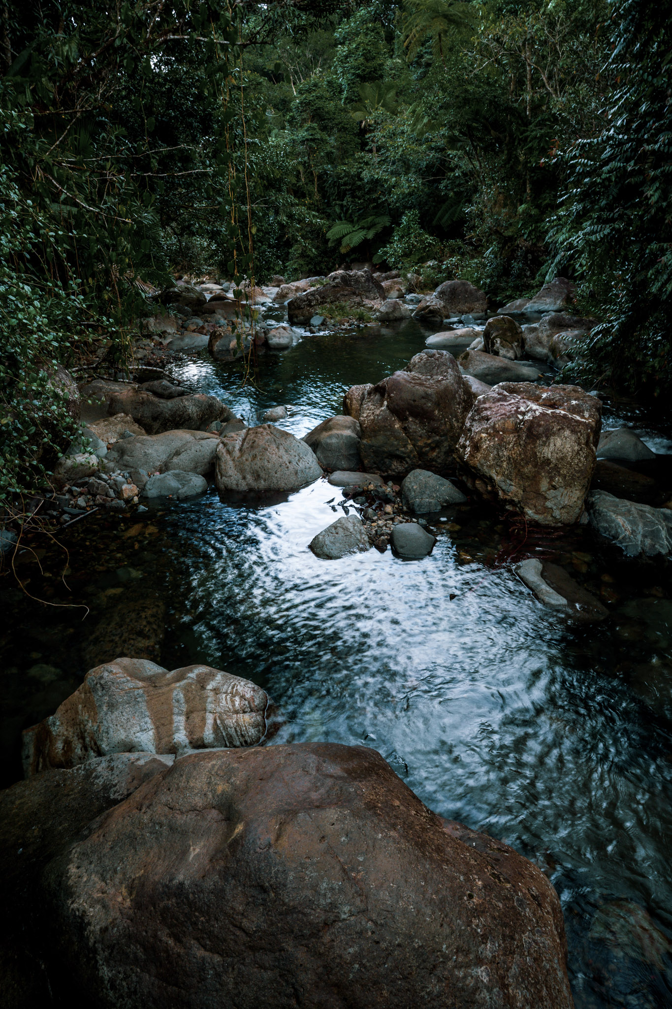 Yunque - foto 122