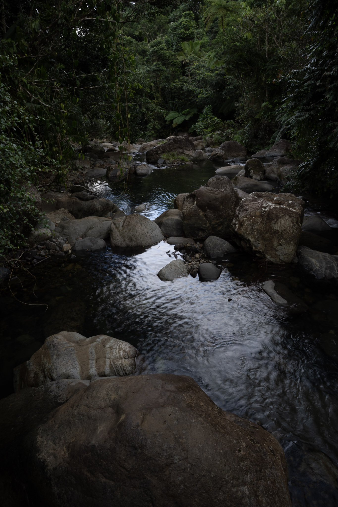 Yunque - foto 124