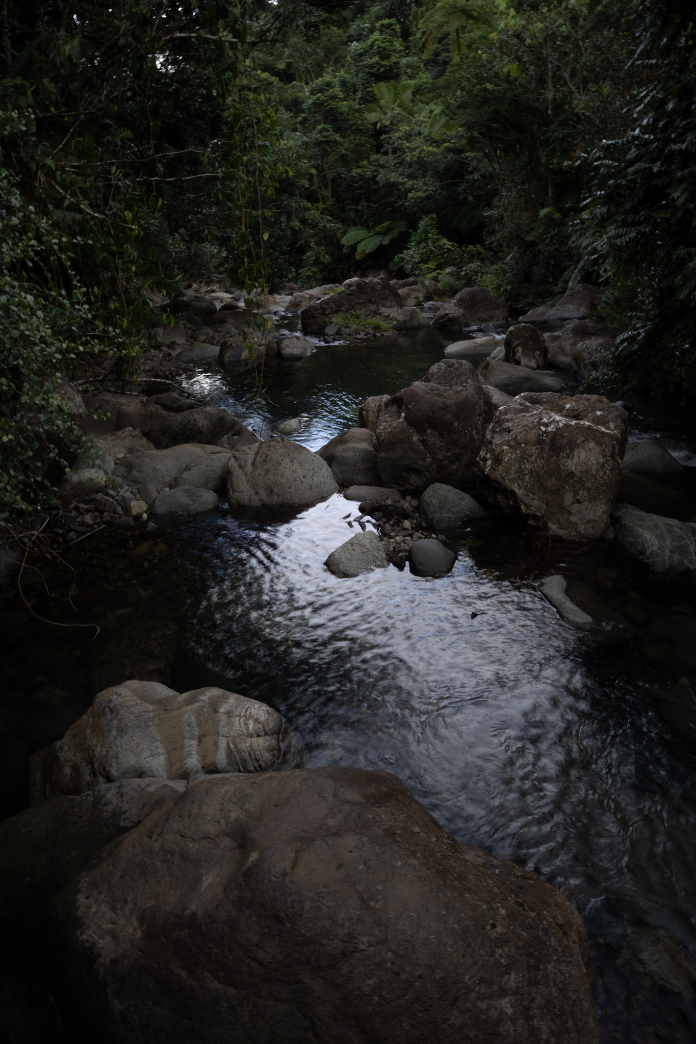 Yunque - foto 127