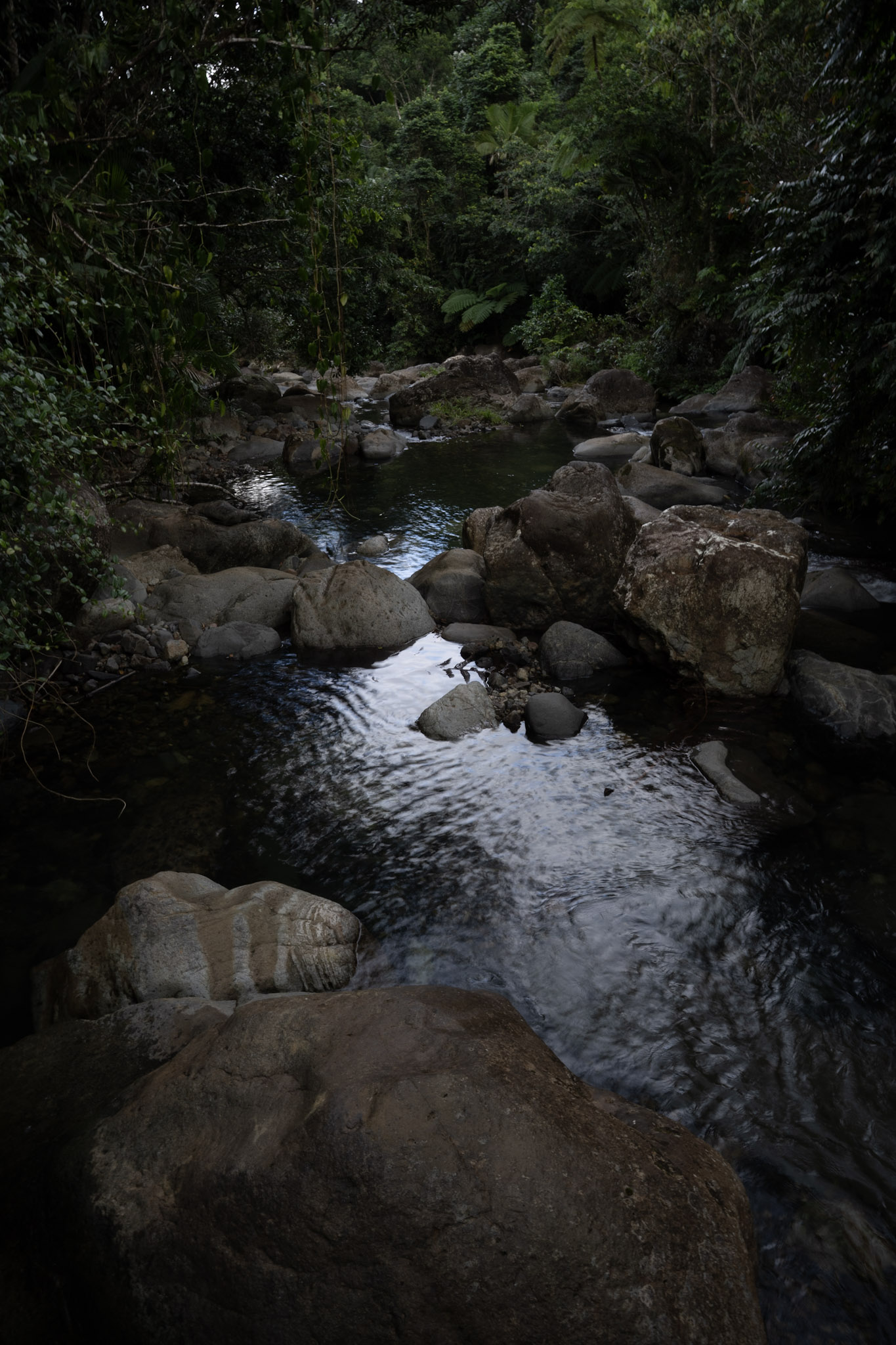 Yunque - foto 128