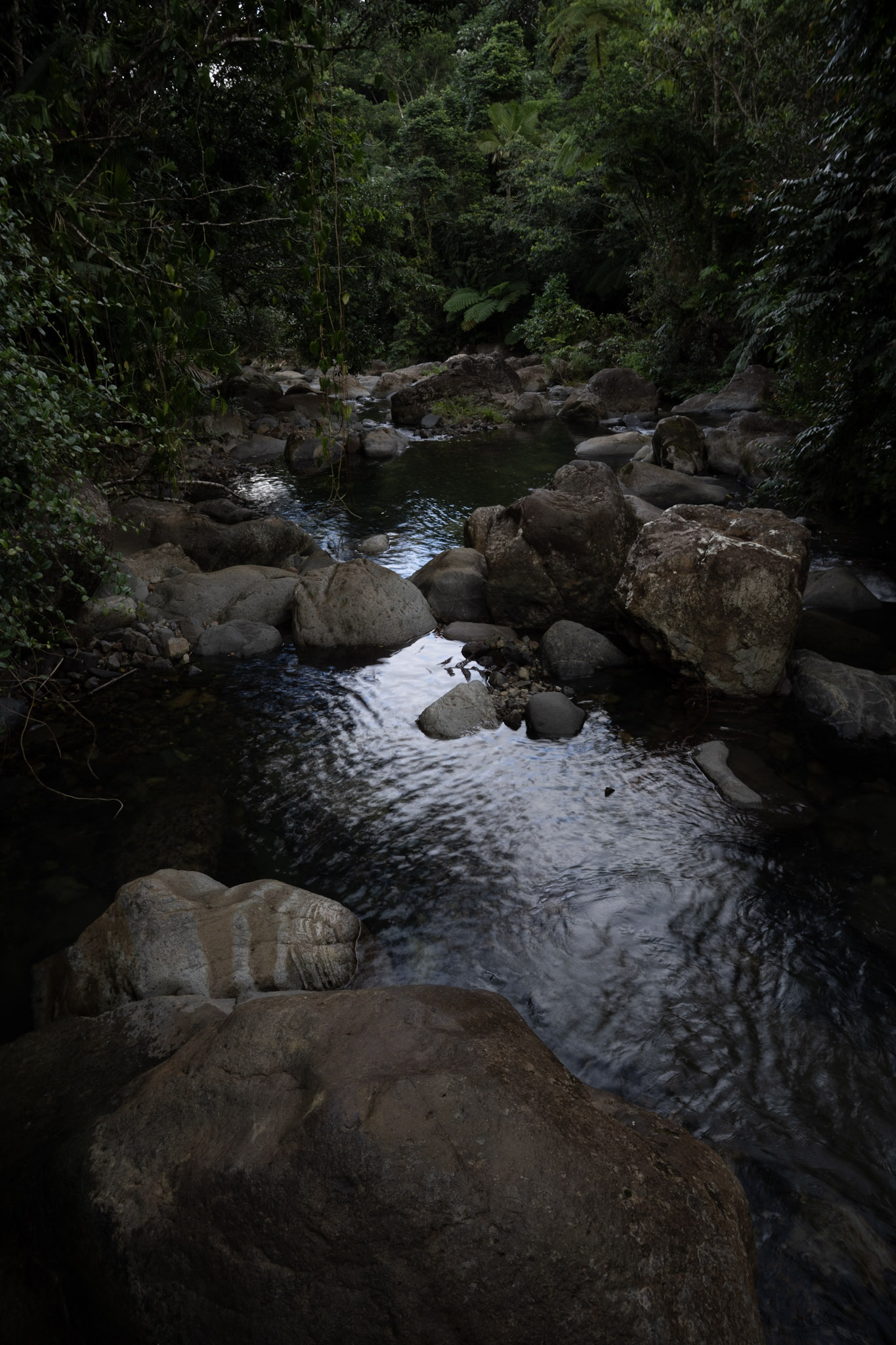 Yunque - foto 130