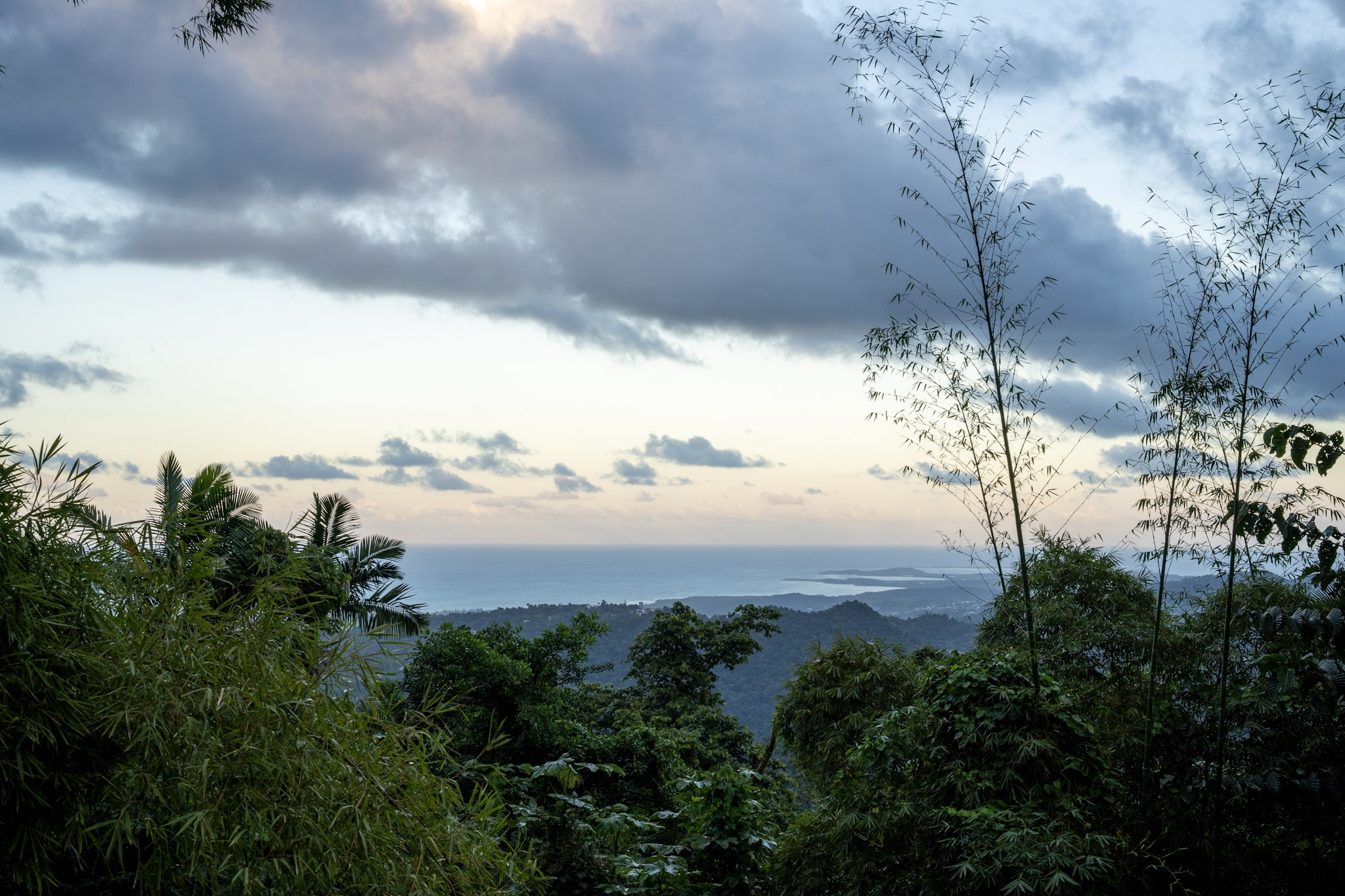 Yunque - foto 144
