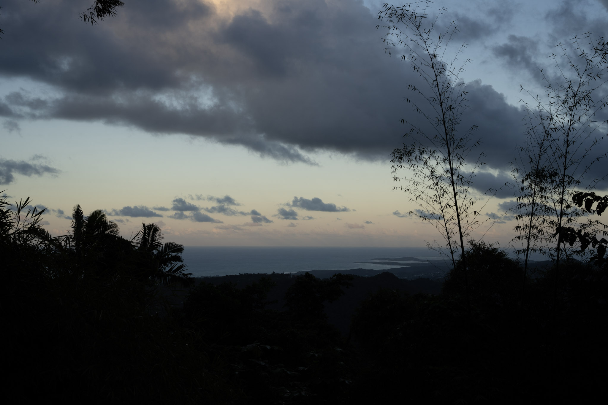 Yunque - foto 145