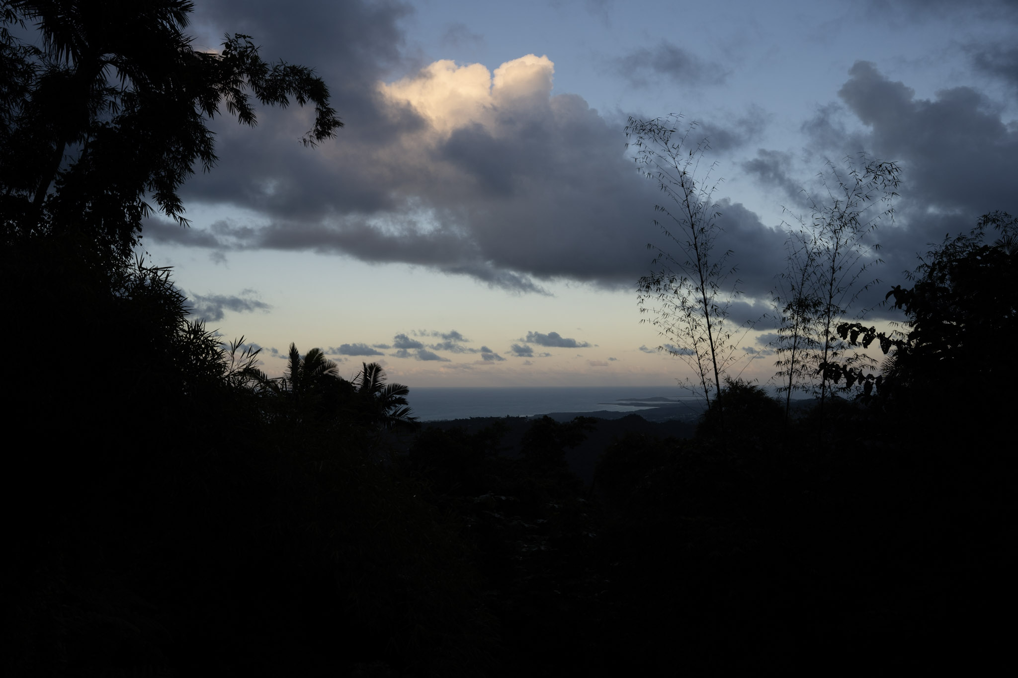 Yunque - foto 146
