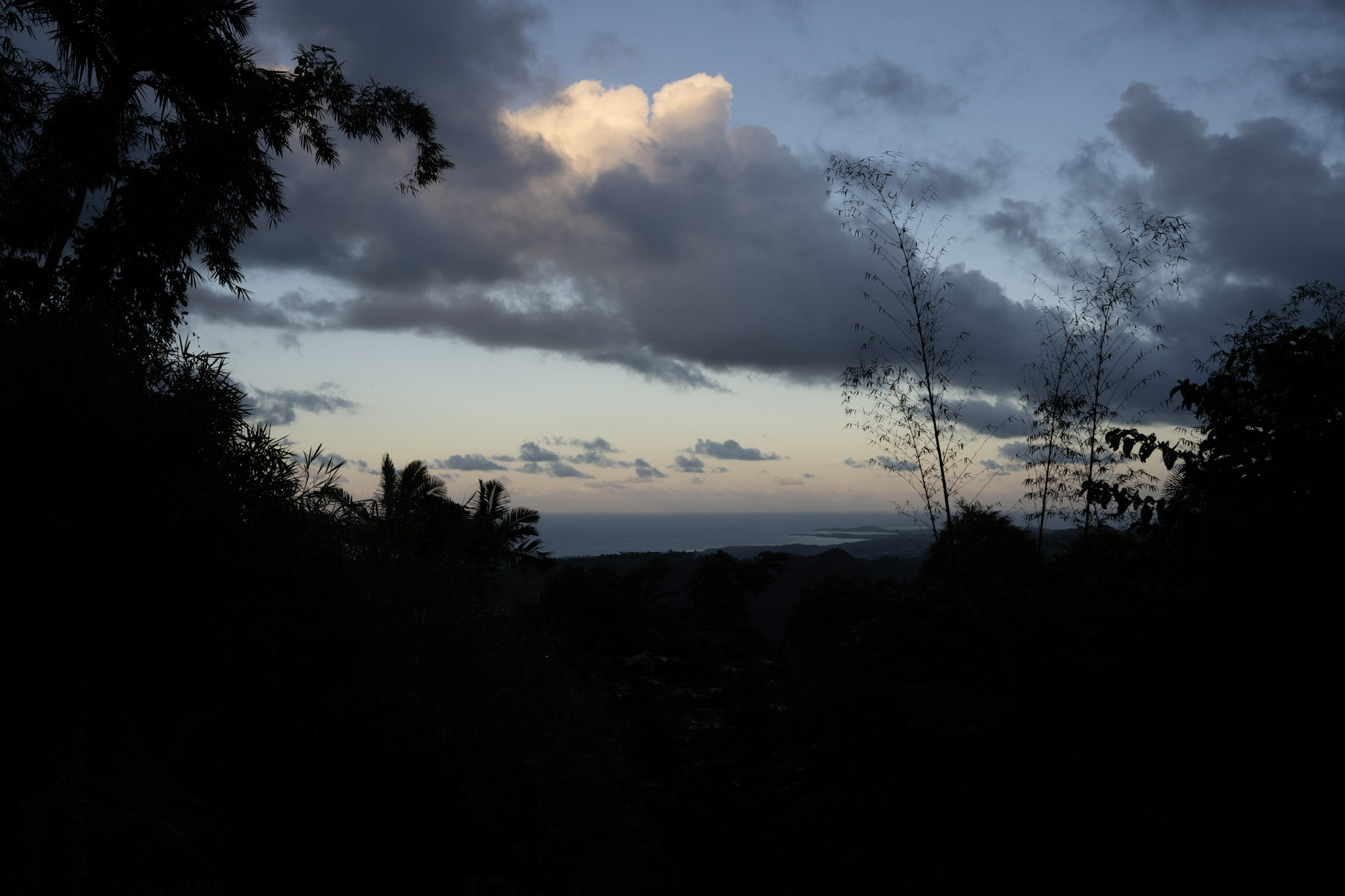 Yunque - foto 147