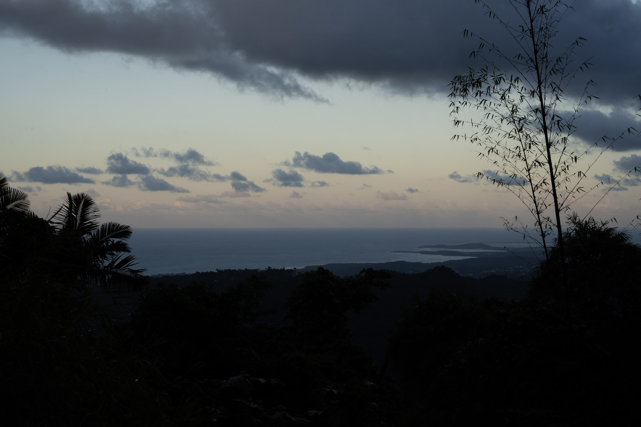 Yunque - foto 148
