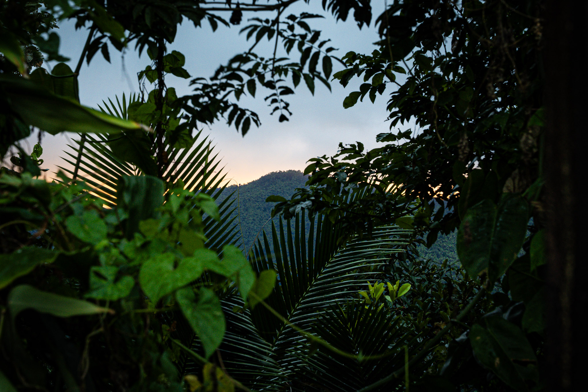 Yunque - foto 160