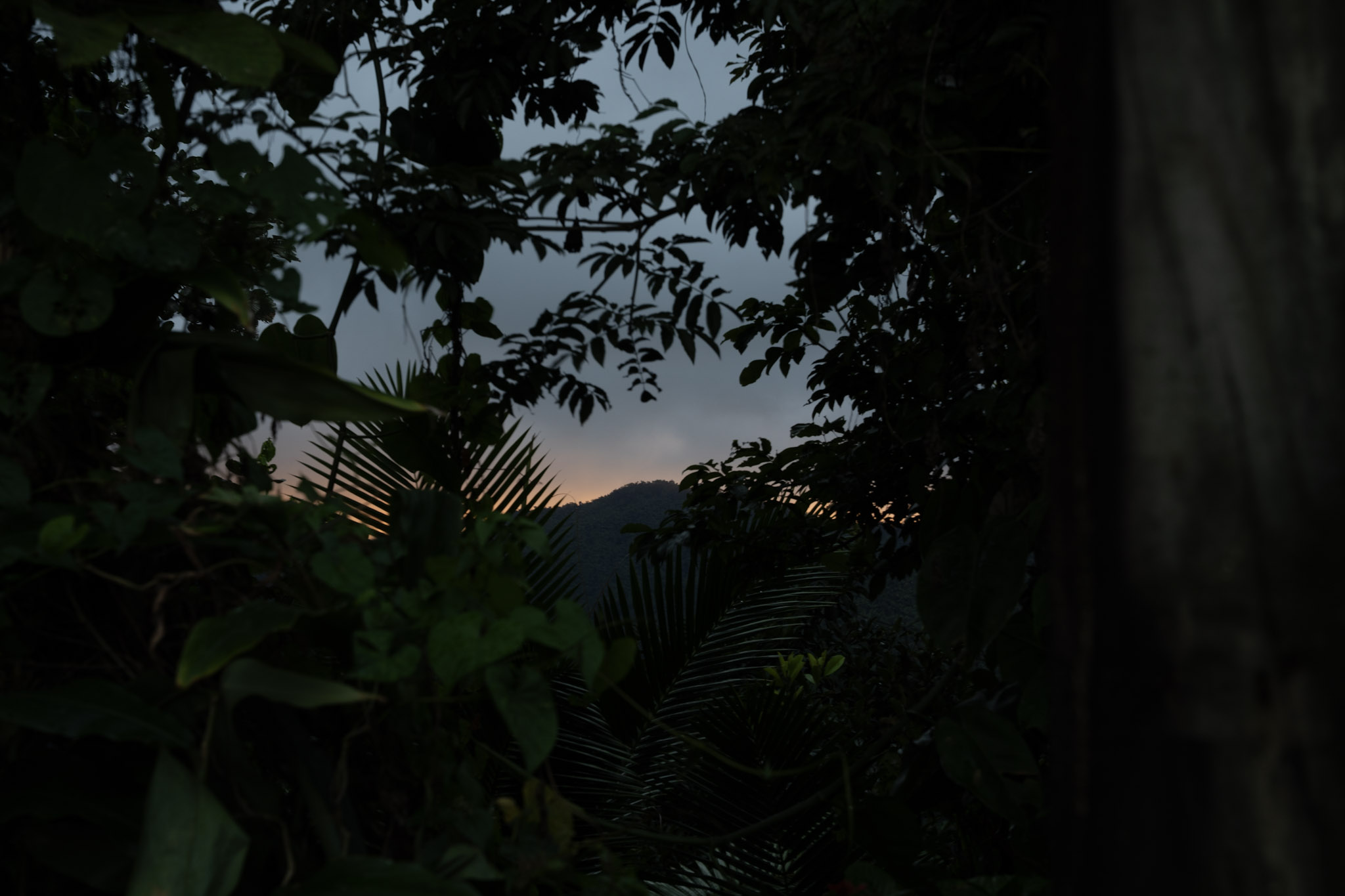 Yunque - foto 161