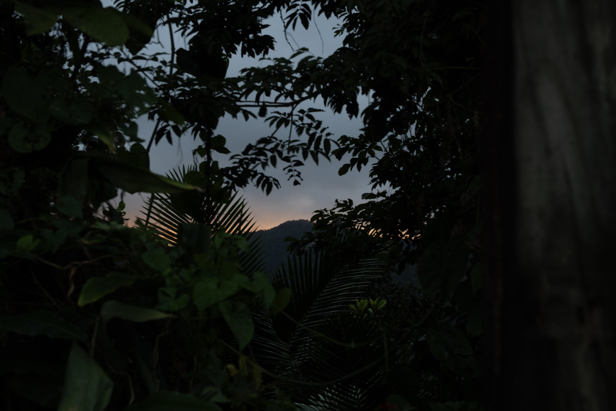 Yunque - foto 162