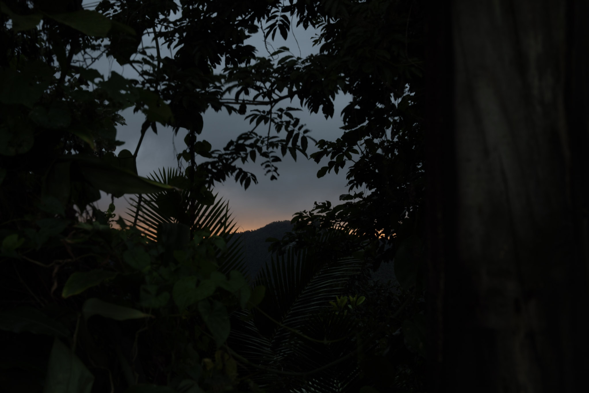 Yunque - foto 163