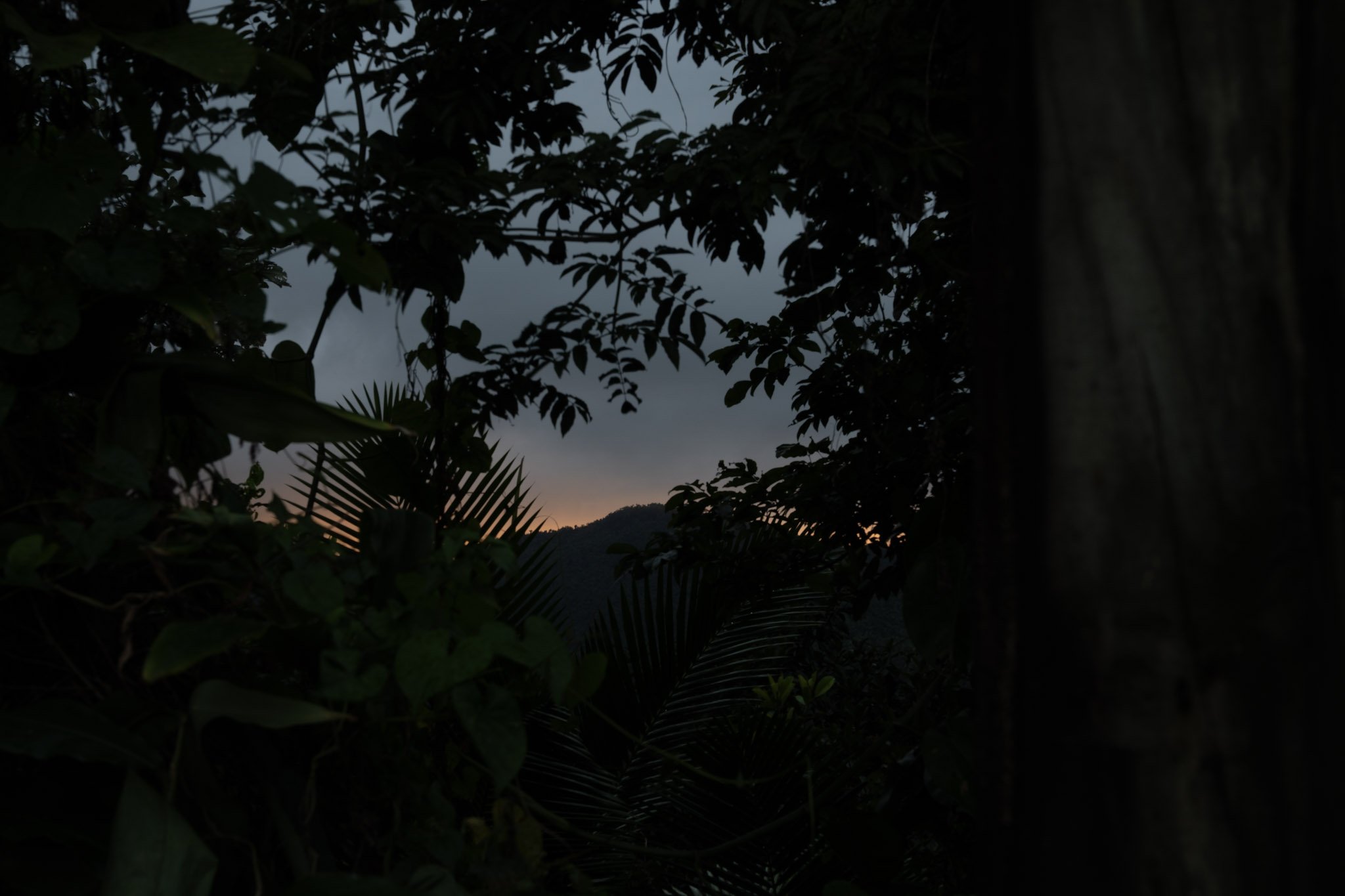 Yunque - foto 164