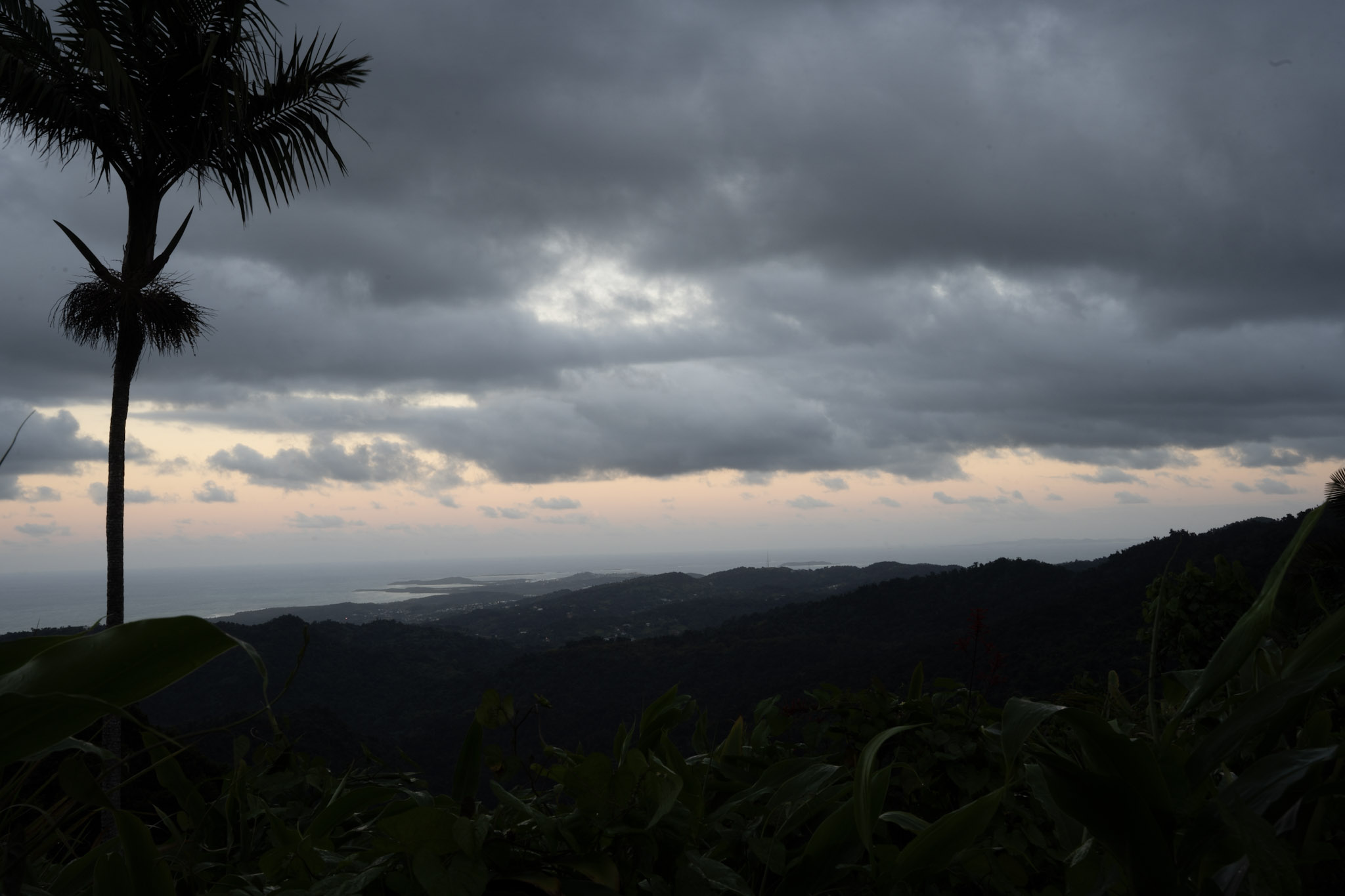 Yunque - foto 172