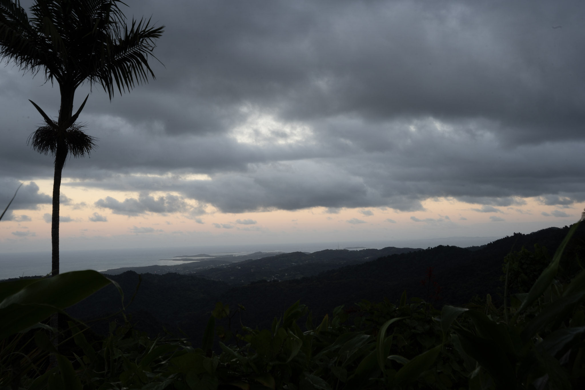 Yunque - foto 176