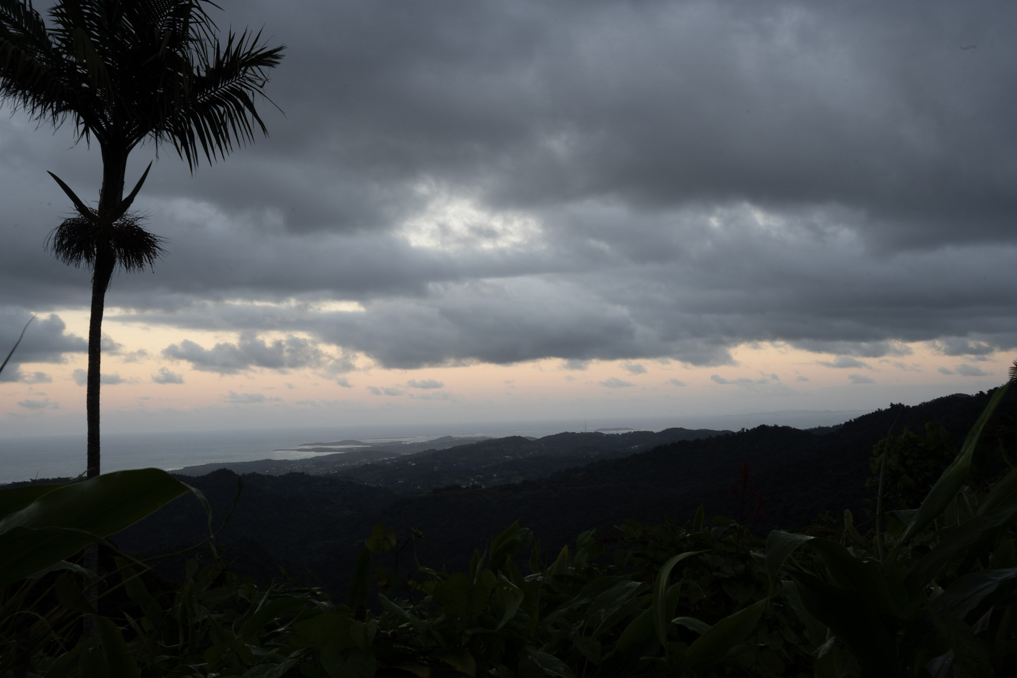 Yunque - foto 177
