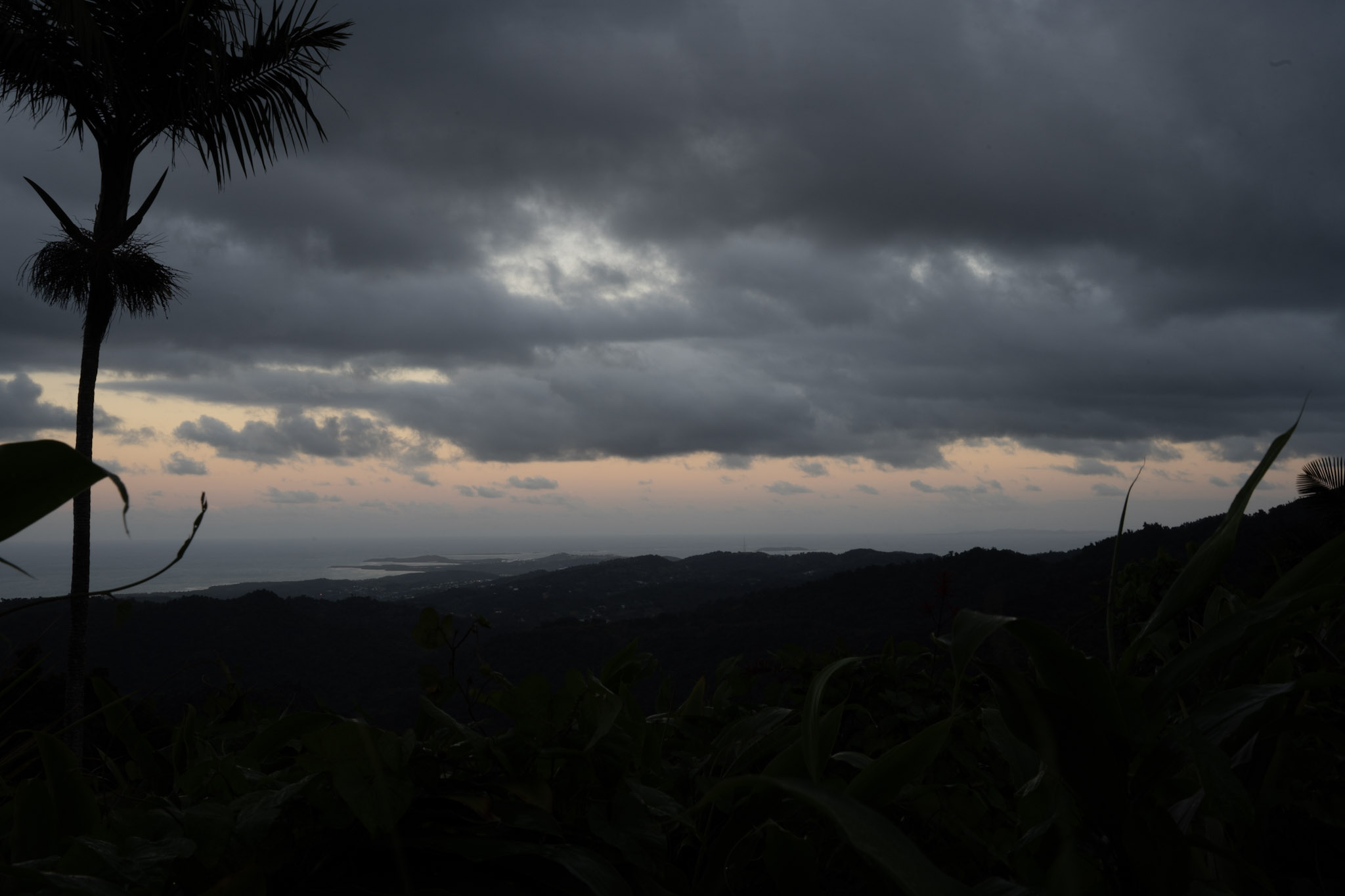 Yunque - foto 182