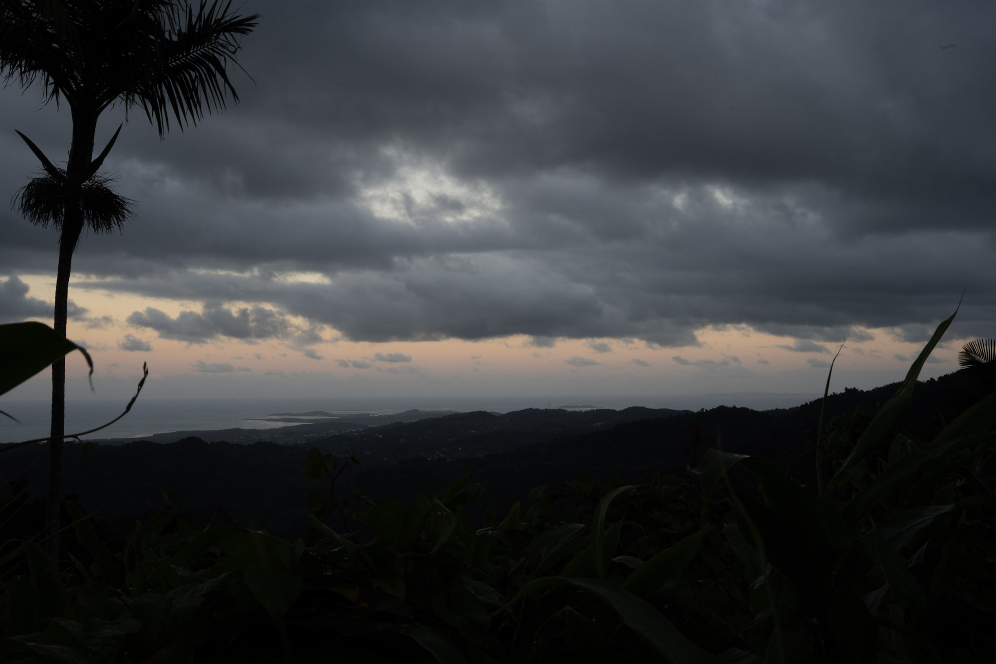 Yunque - foto 184