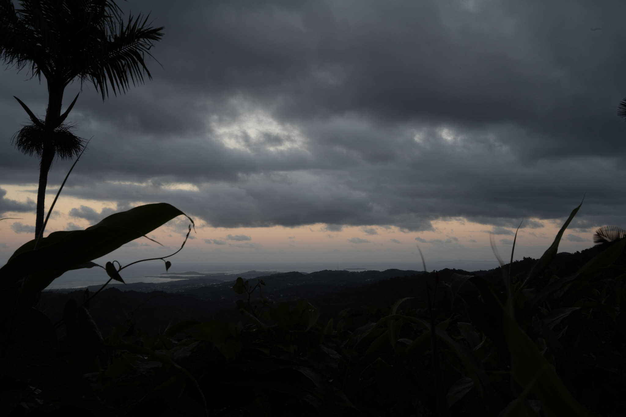 Yunque - foto 186
