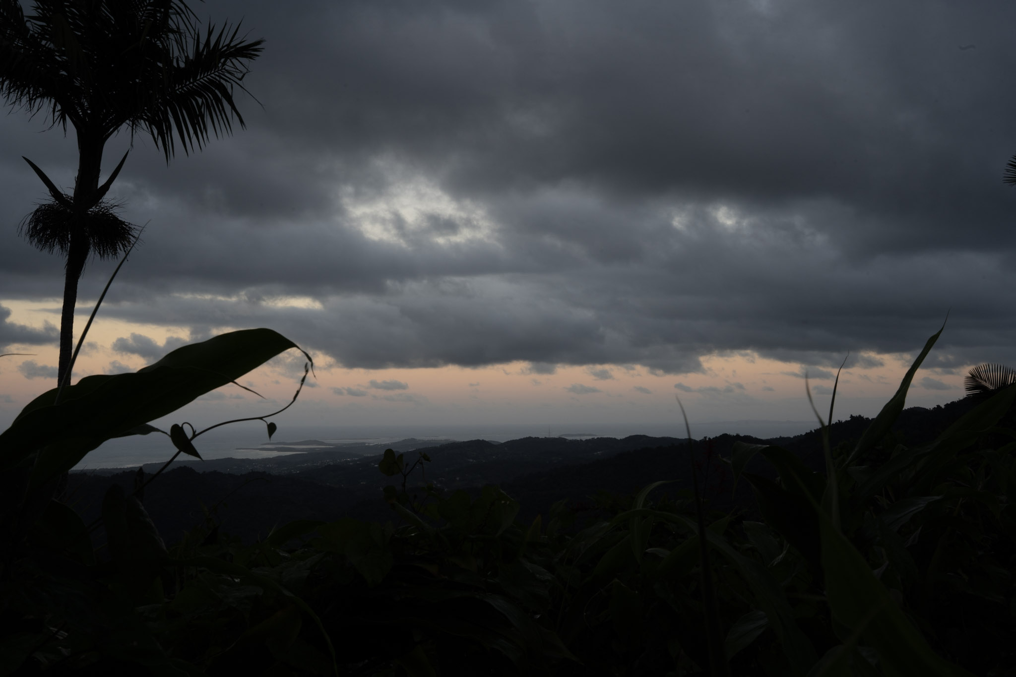 Yunque - foto 189