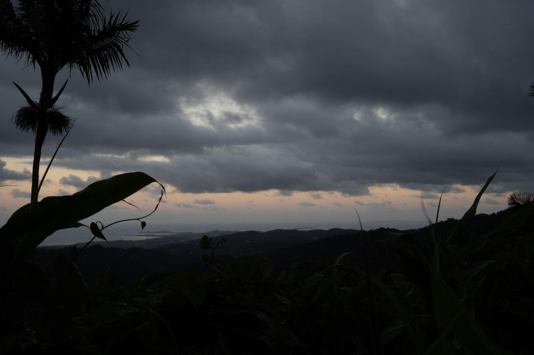 Yunque - foto 191