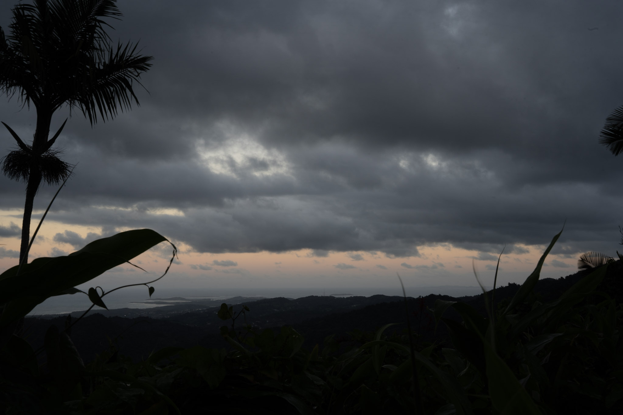 Yunque - foto 192