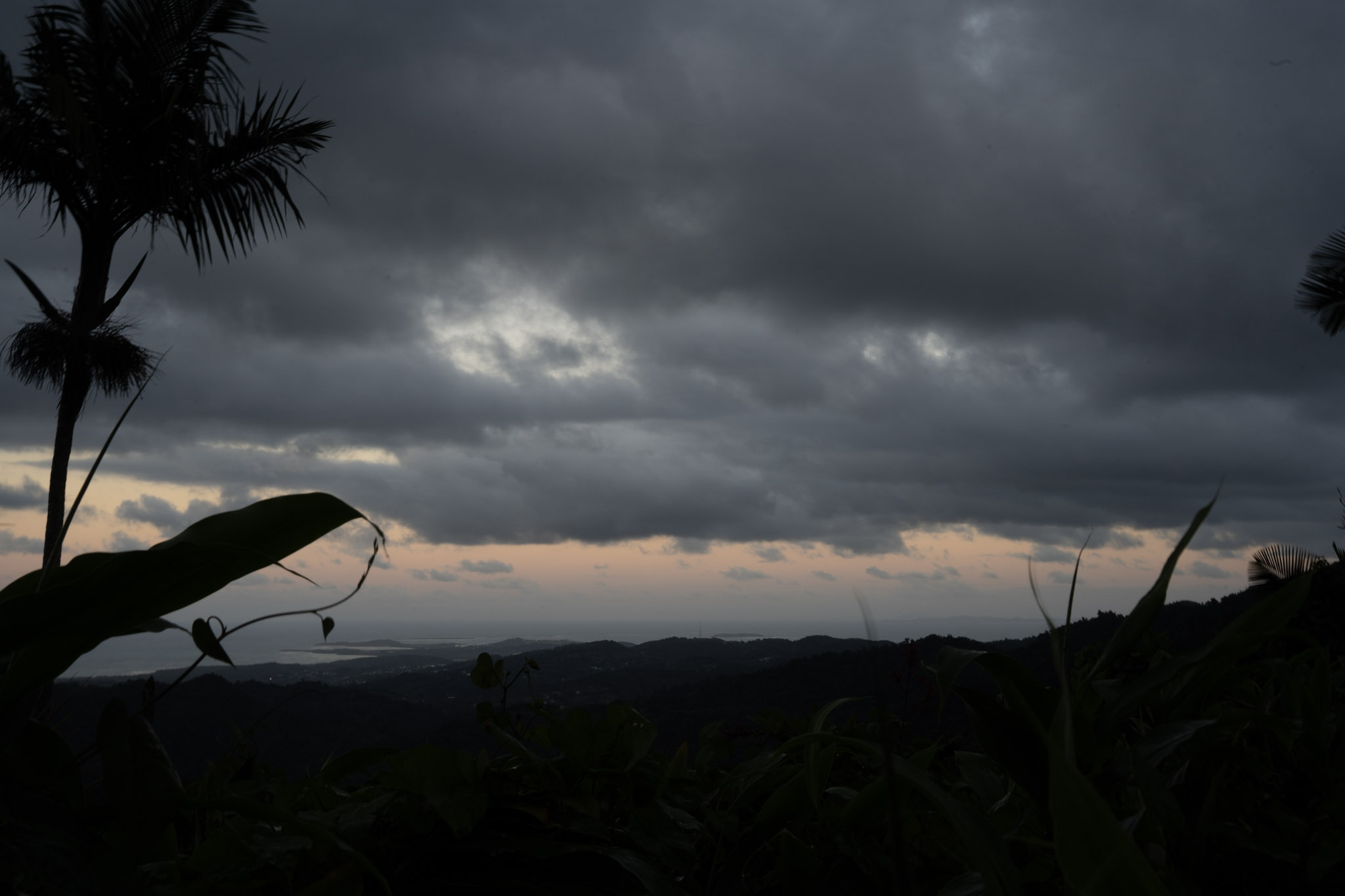 Yunque - foto 193