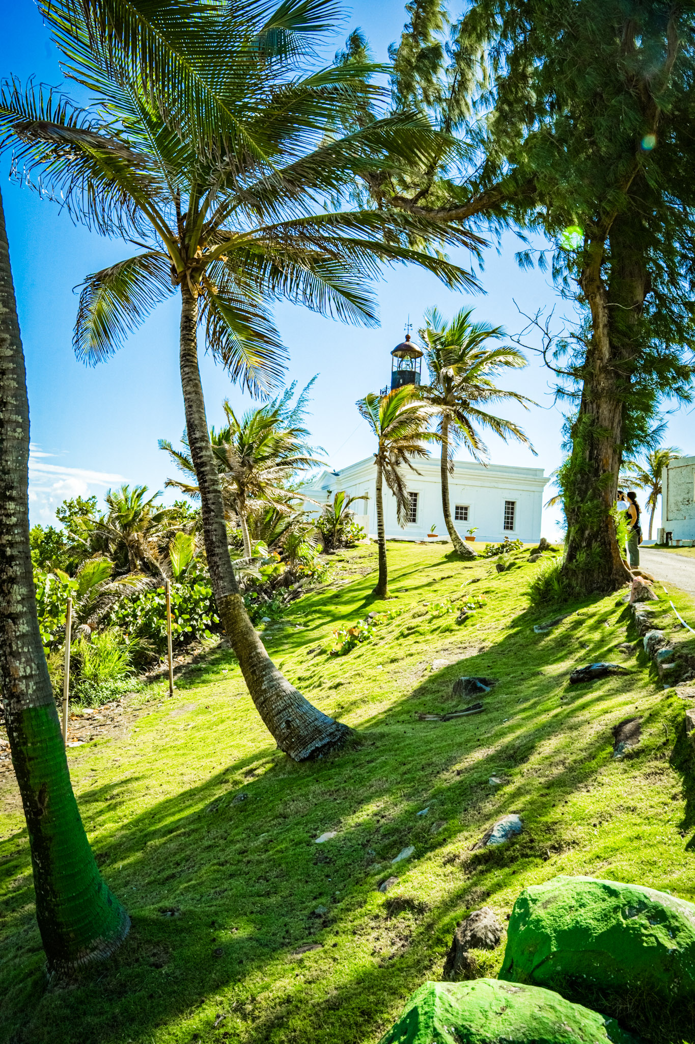 2022-01-07_Maunabo - foto 19