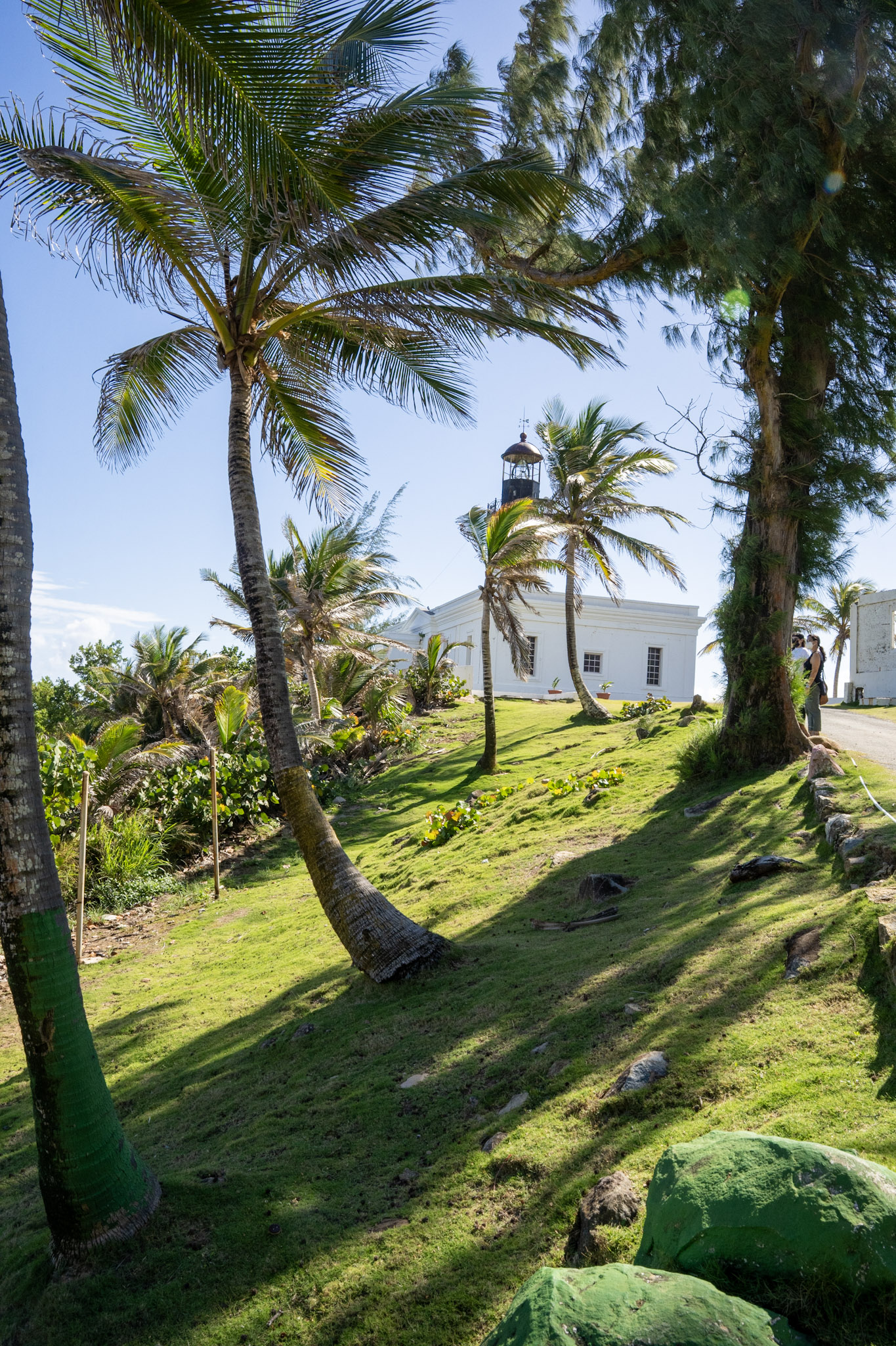 2022-01-07_Maunabo - foto 20