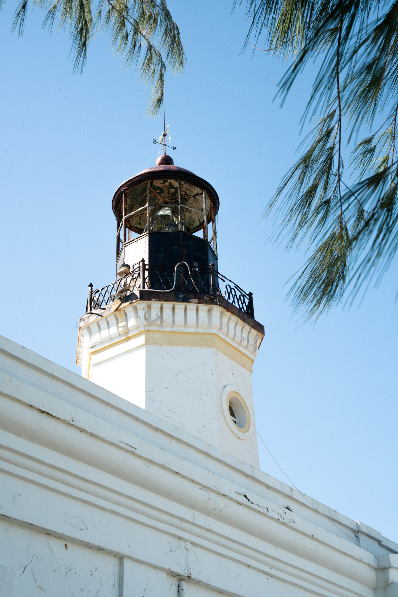 2022-01-07_Maunabo - foto 62