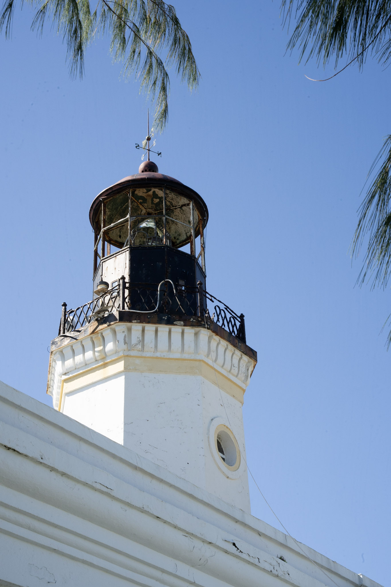 2022-01-07_Maunabo - foto 67