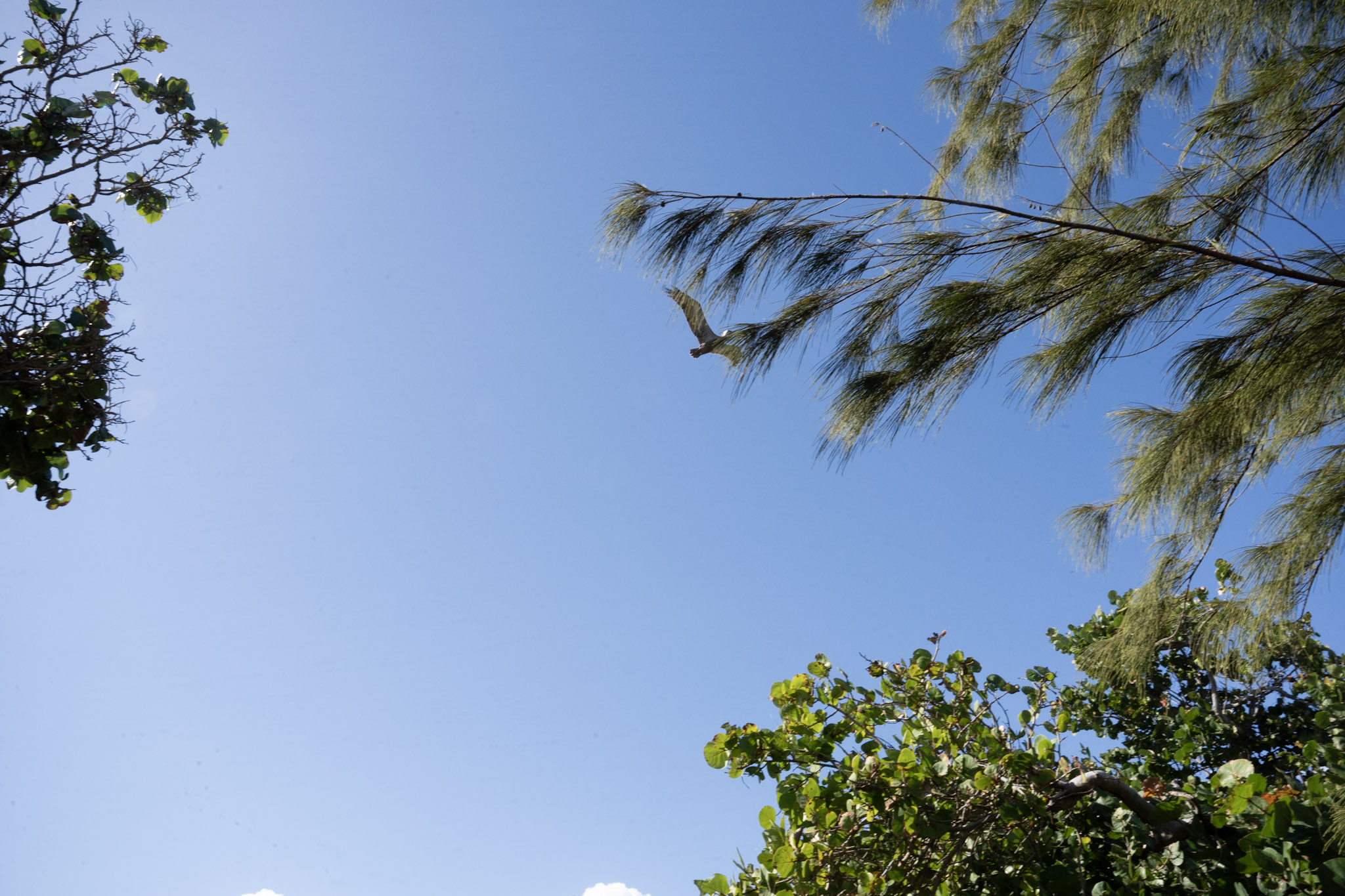 2022-01-07_Maunabo - foto 75