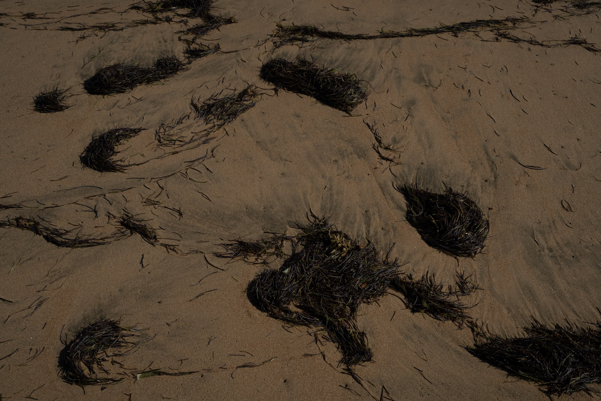 2022-01-07_Maunabo - foto 128