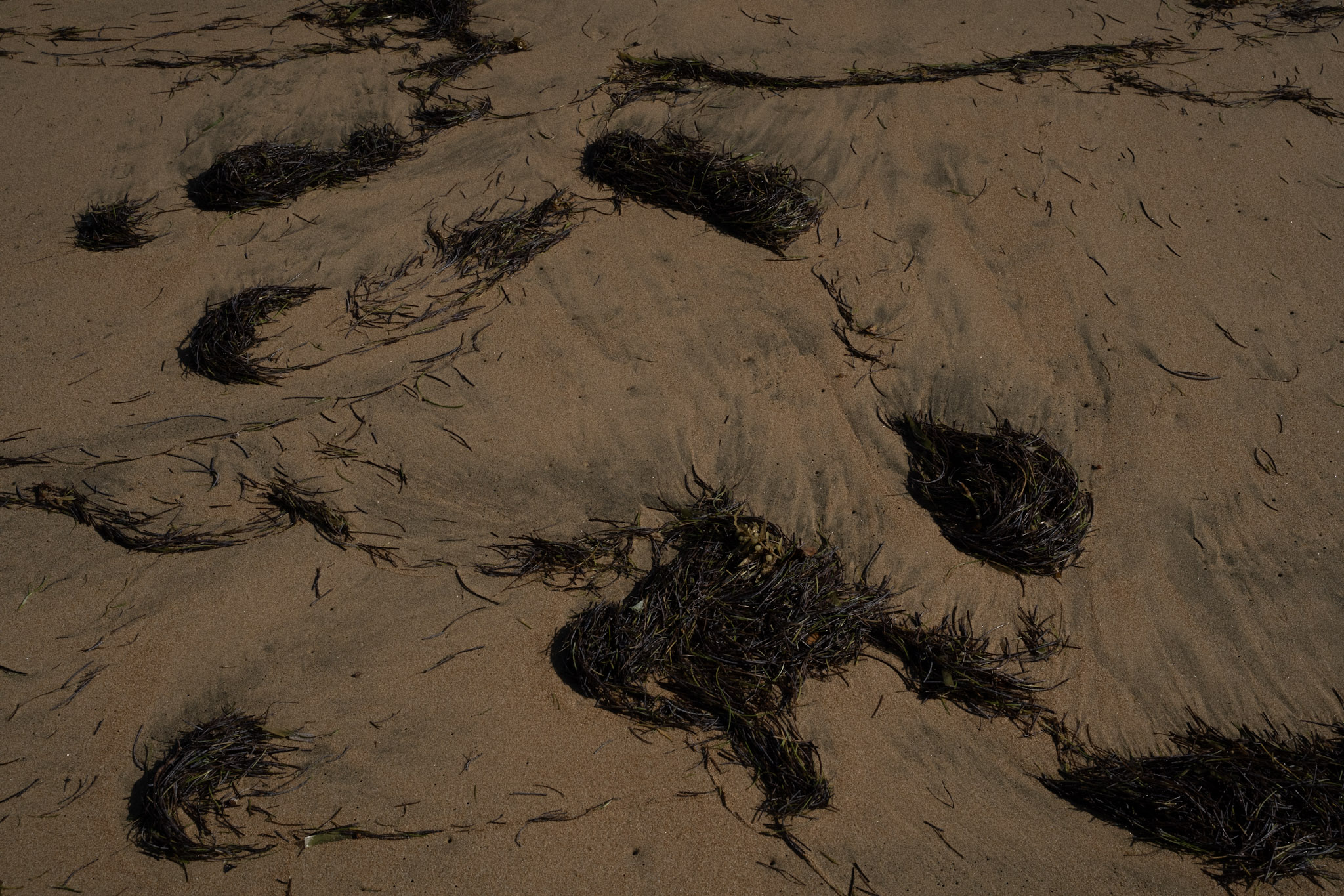 2022-01-07_Maunabo - foto 129